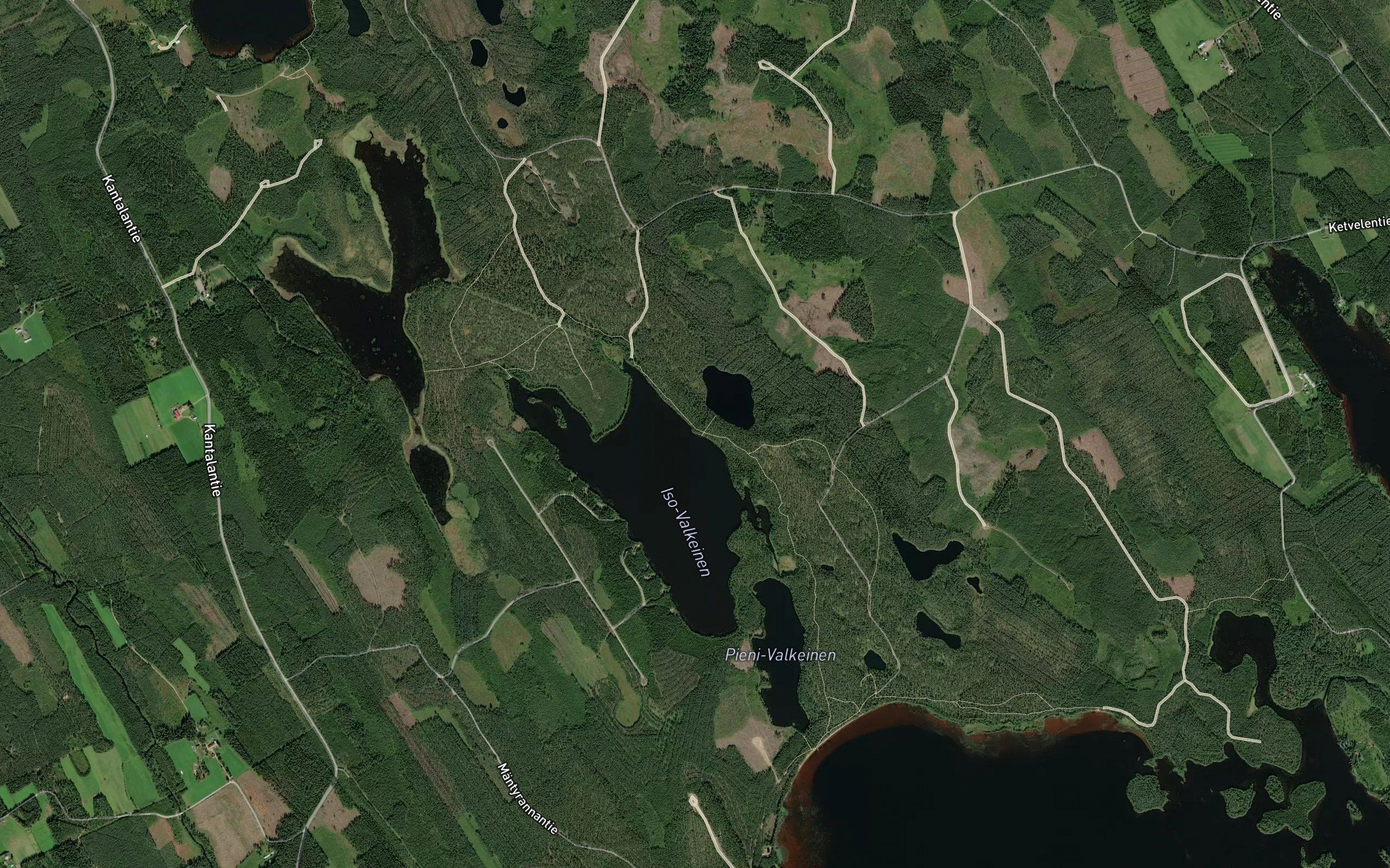 Papinkanava