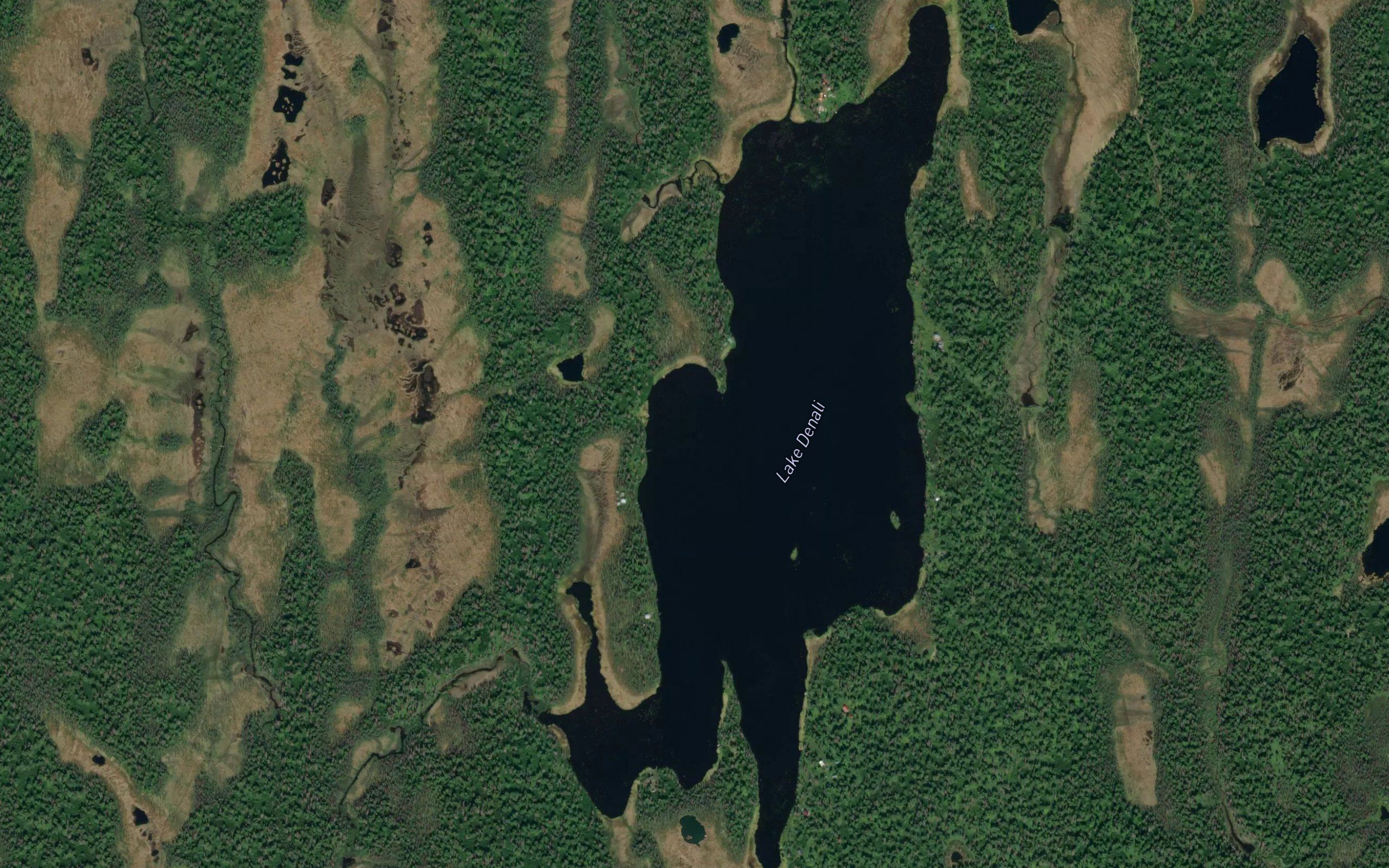 Lake Denali