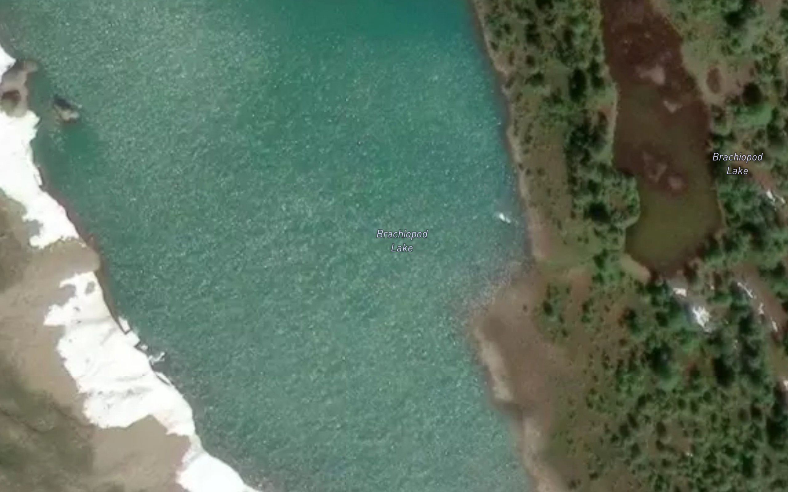 Brachiopod Lake