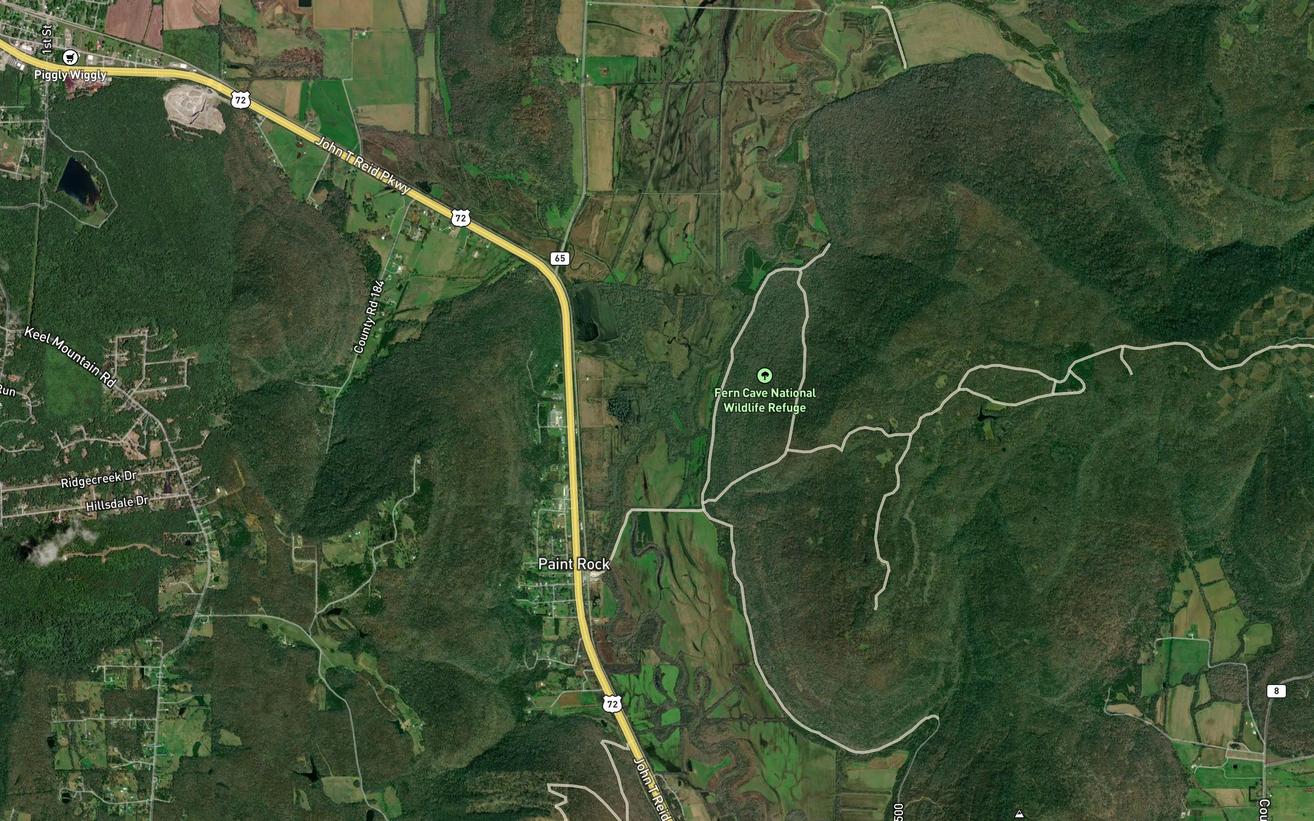 Cole Spring Branch