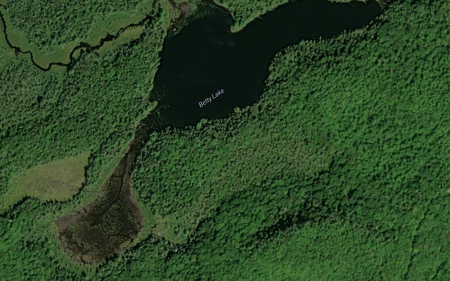 Satellite map of the Betty Lake