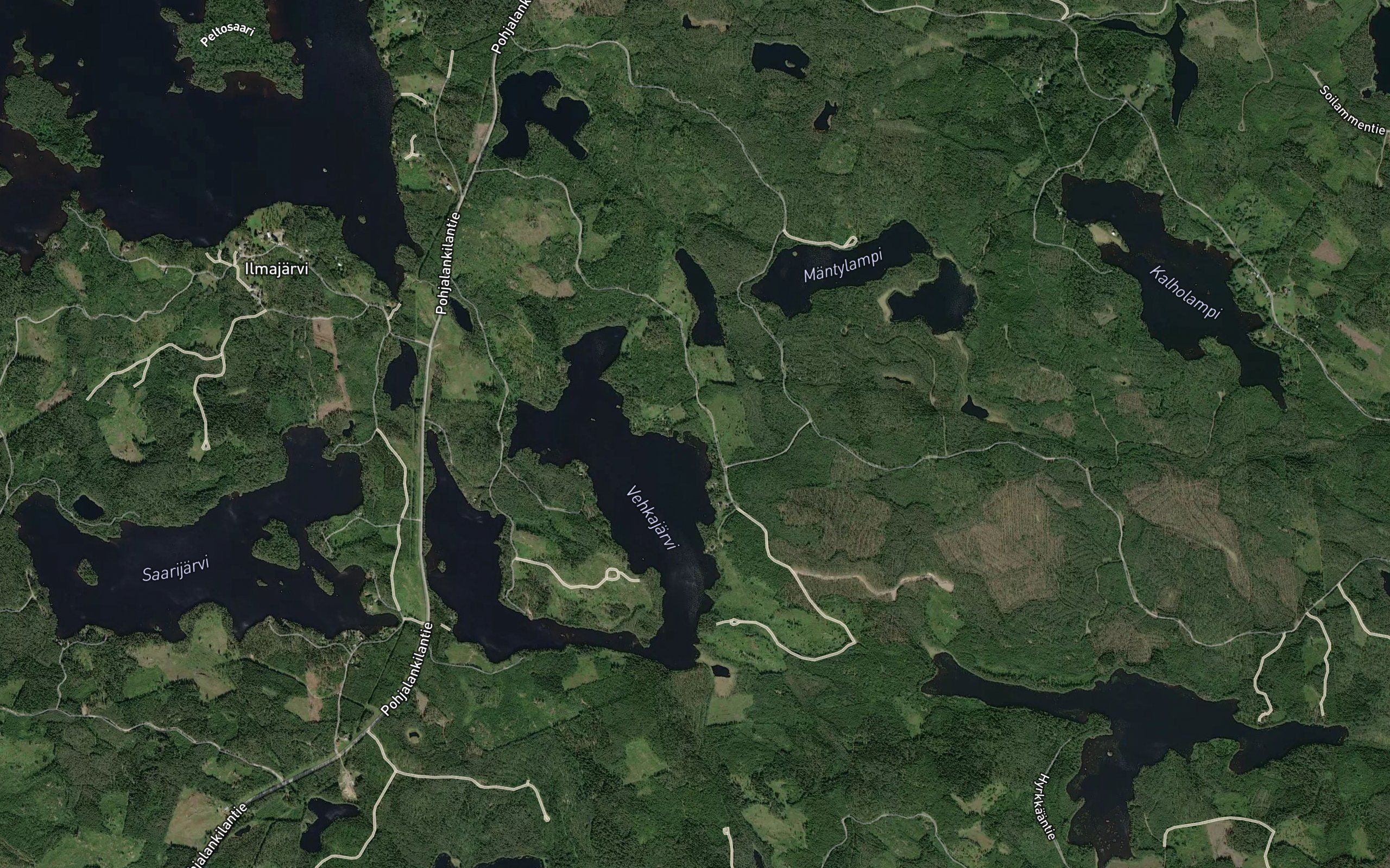 Holmajoki