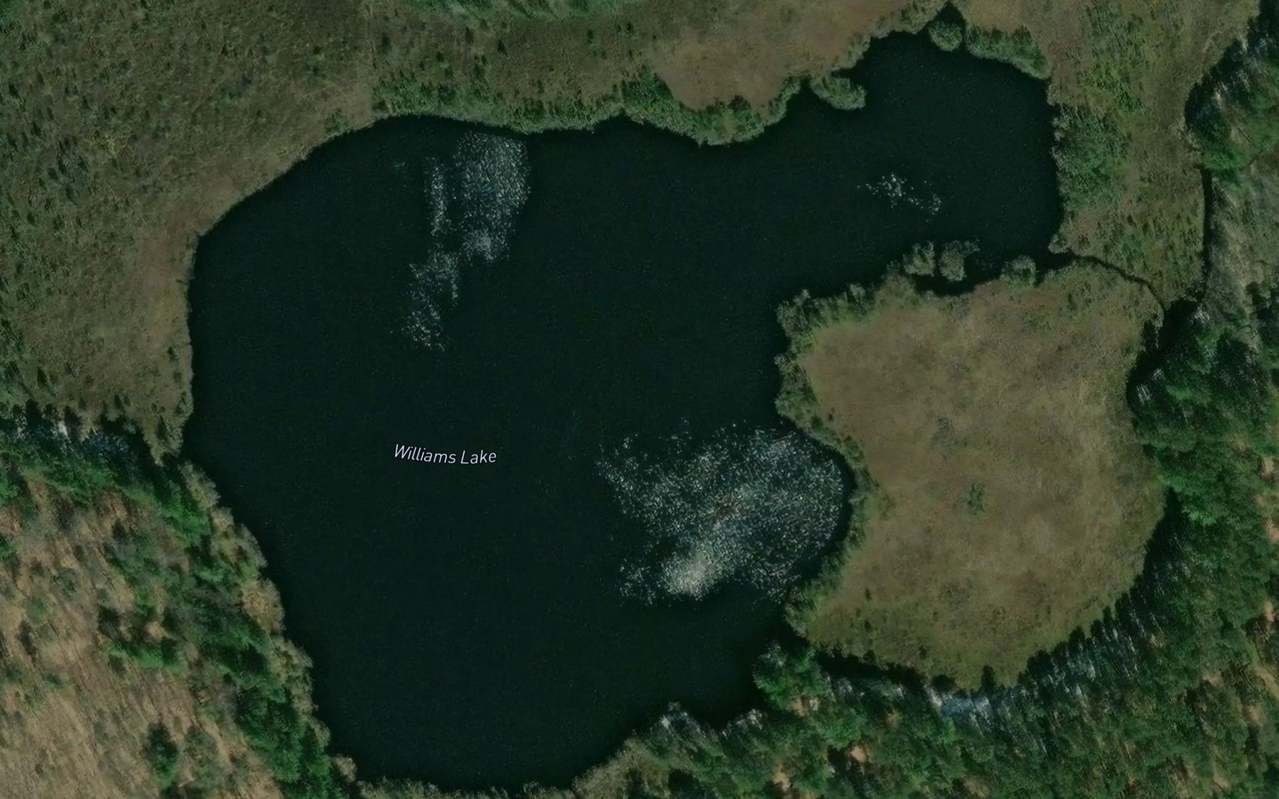 Satellite map of the Williams Lake