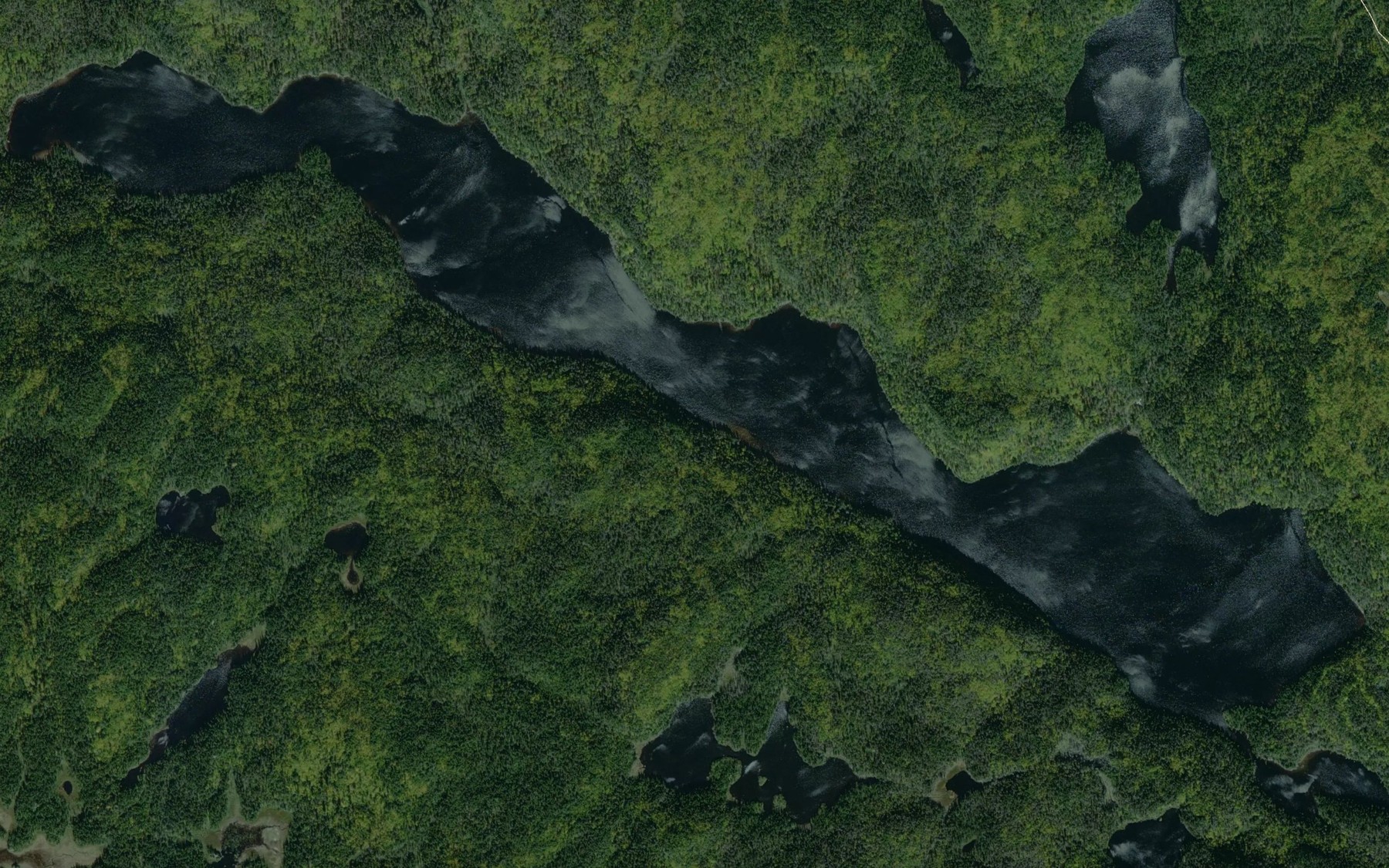 Satellite map of the Petit lac Saint-Nicolas