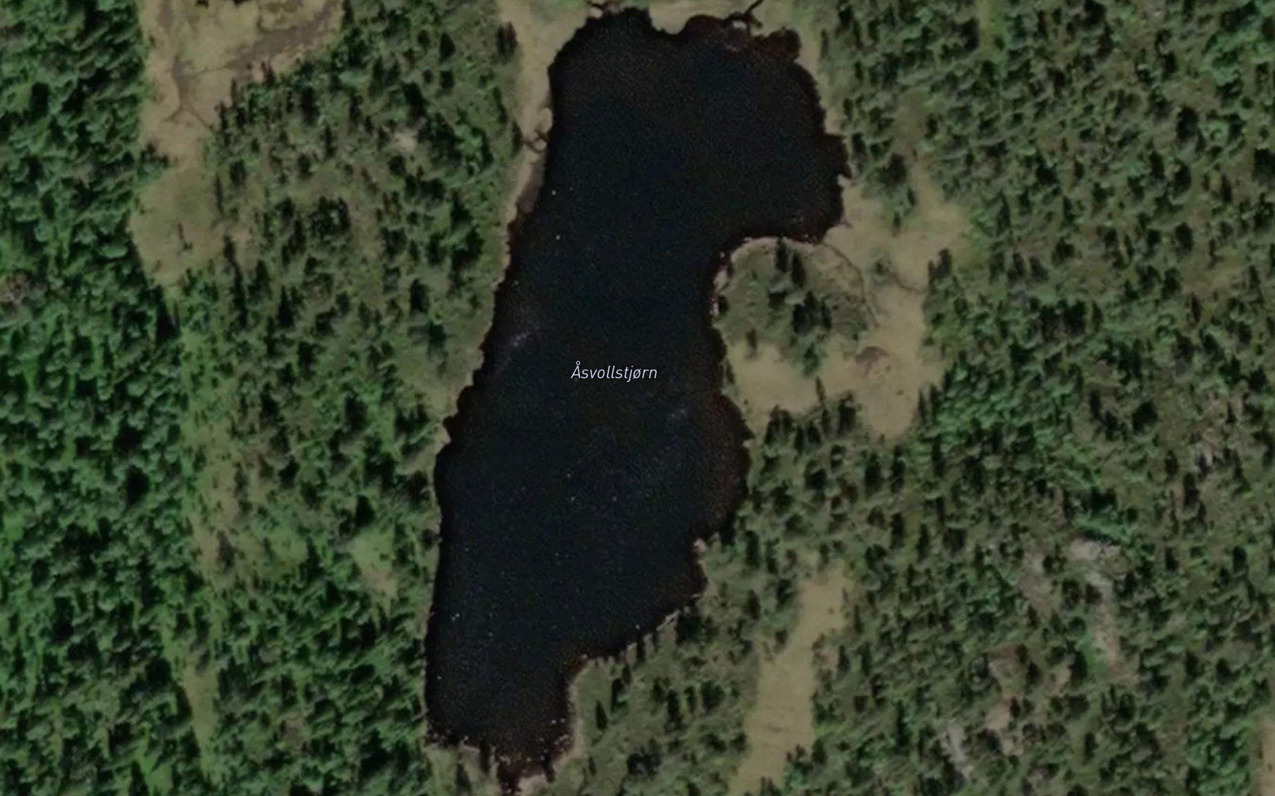 Asvollstjorn