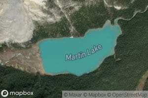 Martin Lake