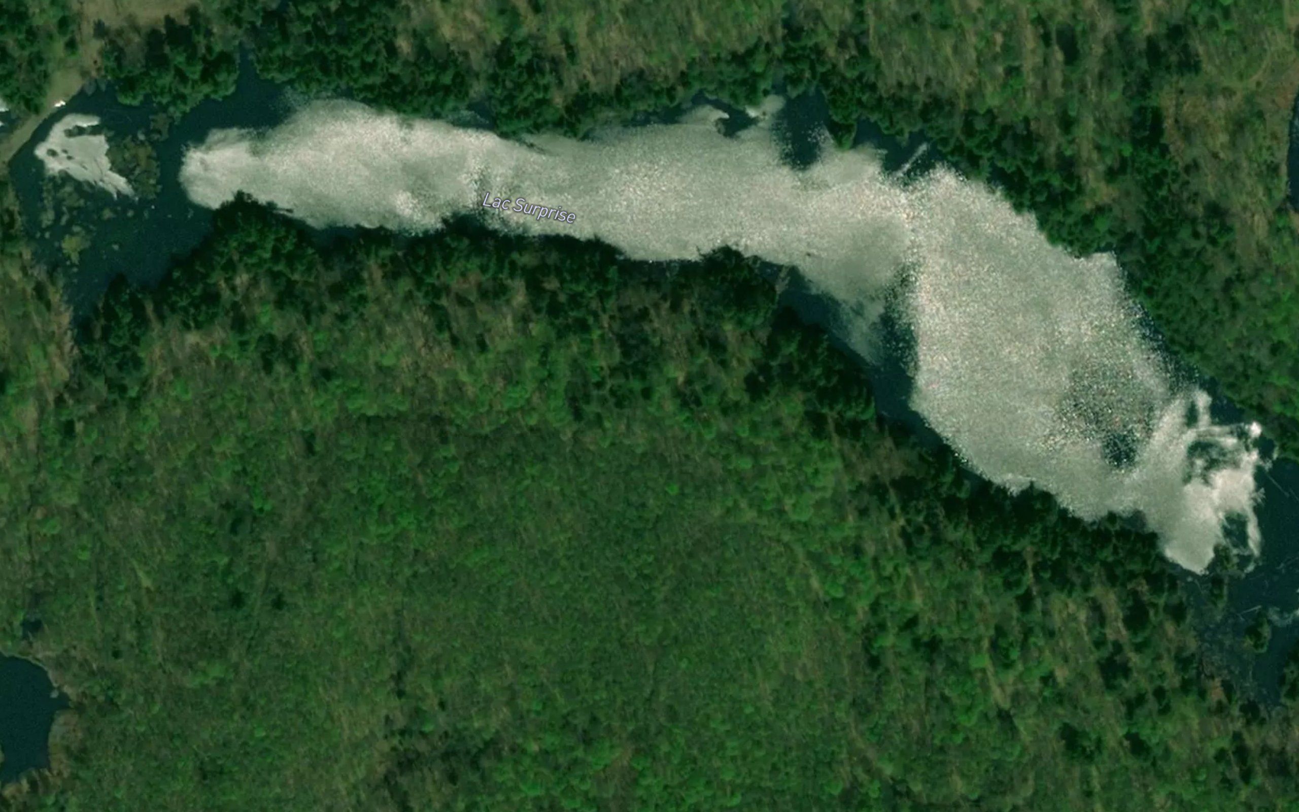 Lac Surprise