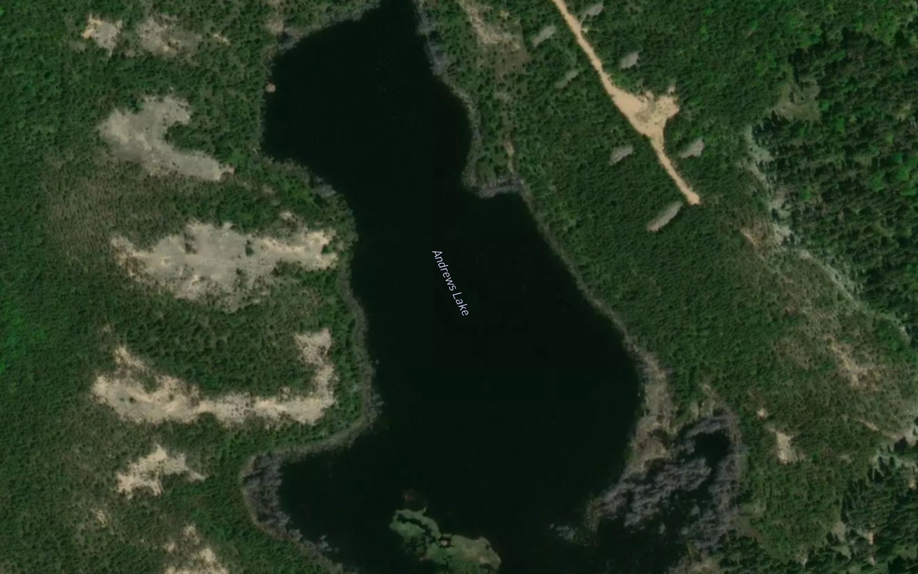 Satellite map of the Andrews Lake