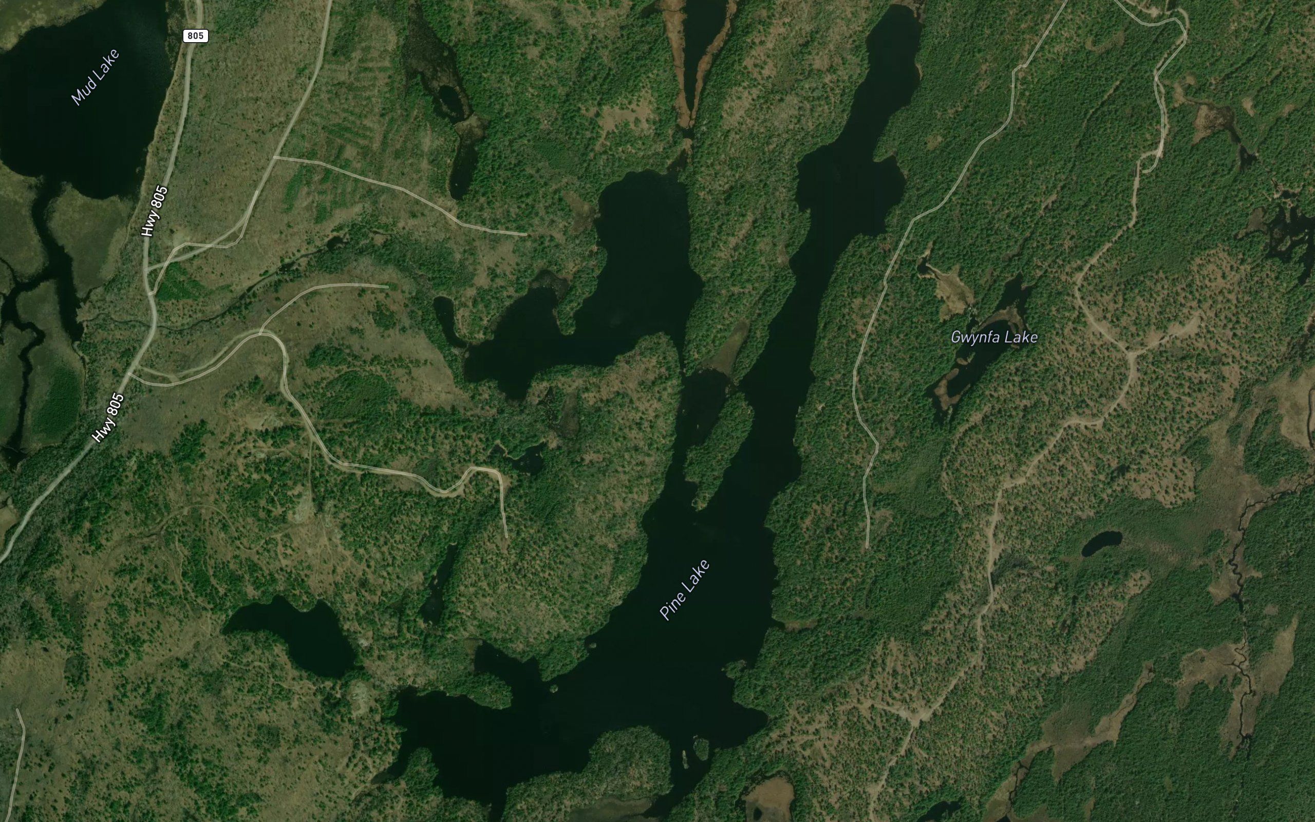 Pine Lake