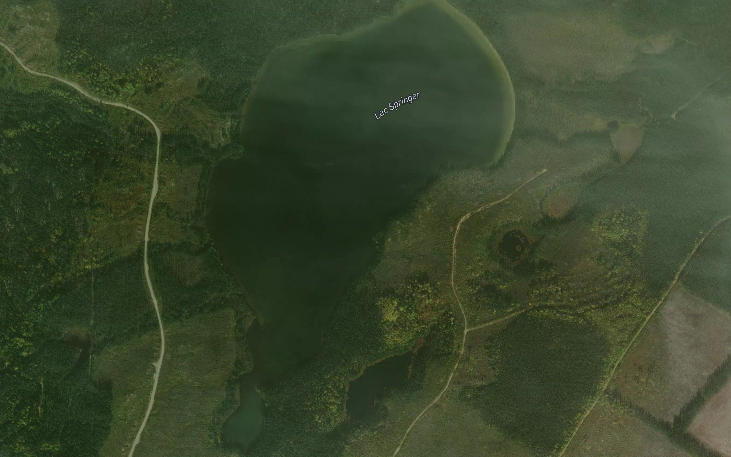 Lac Springer