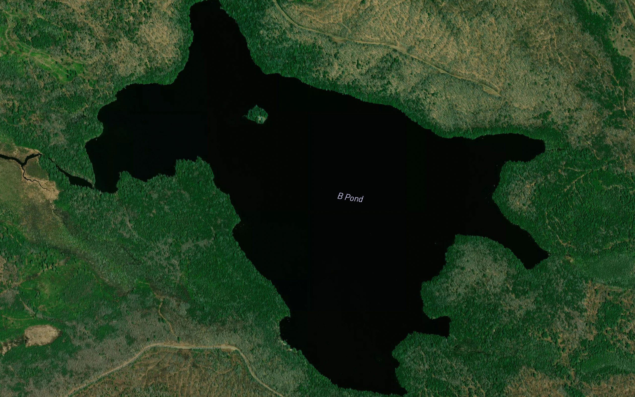 B Pond