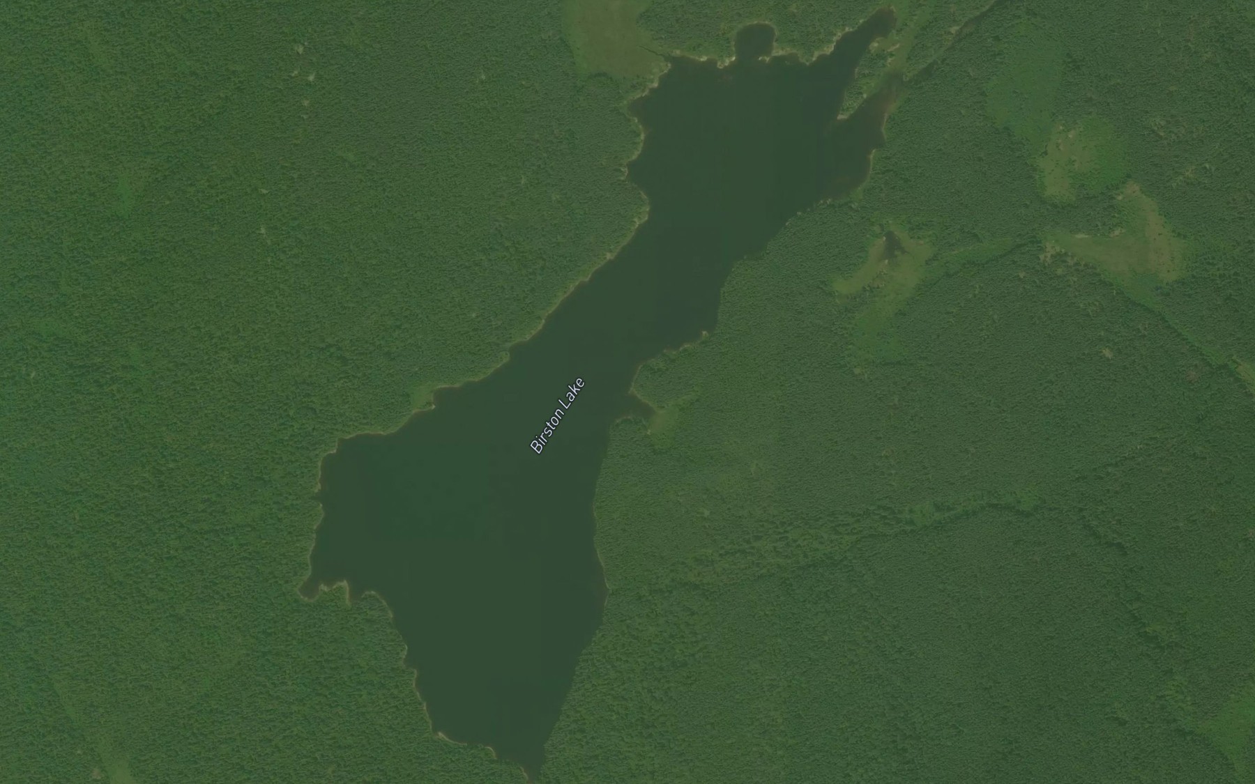 Satellite map of the Birston Lake