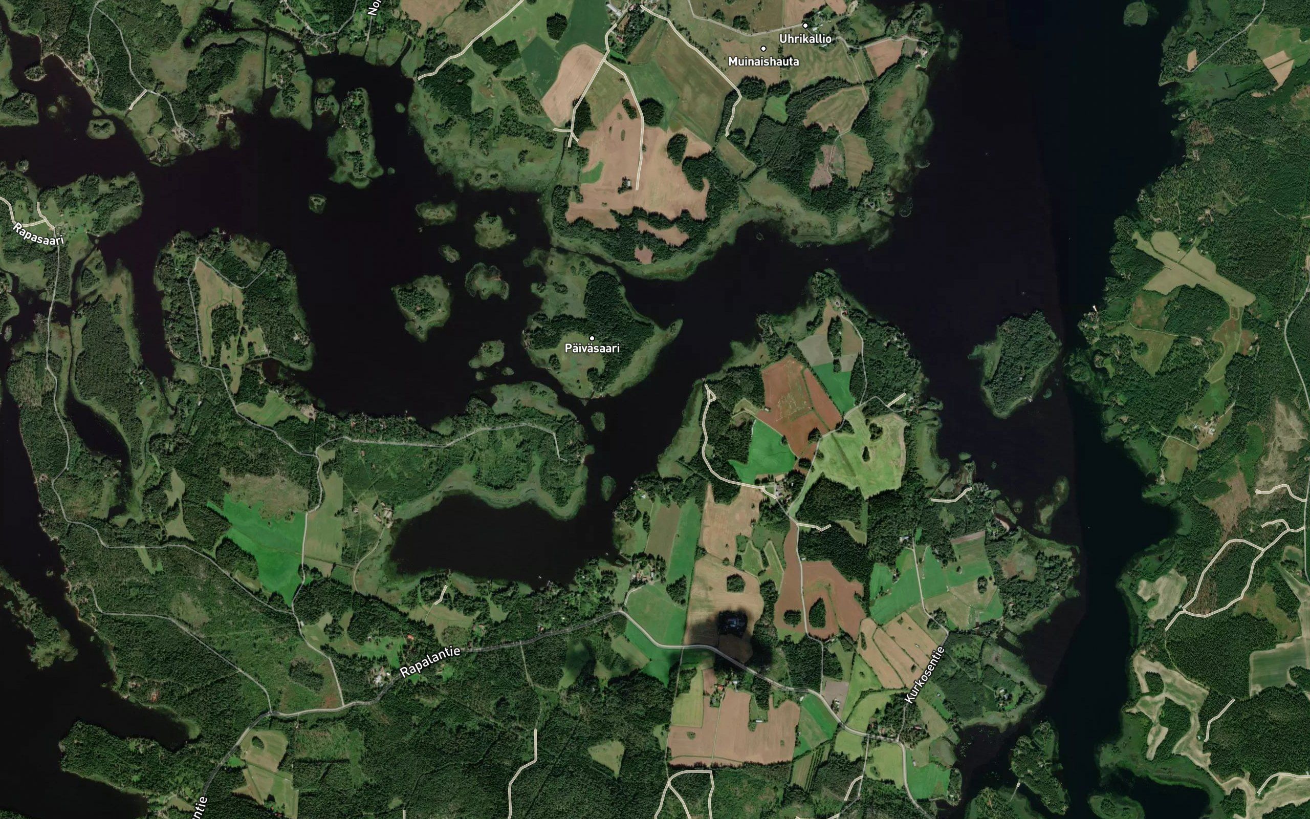 Muurisalmi