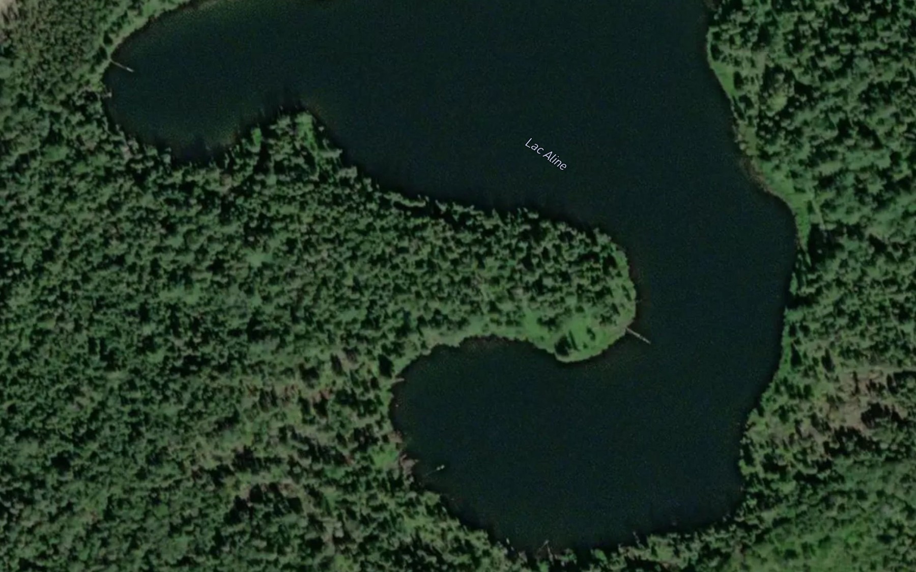 Satellite map of the Lac Aline