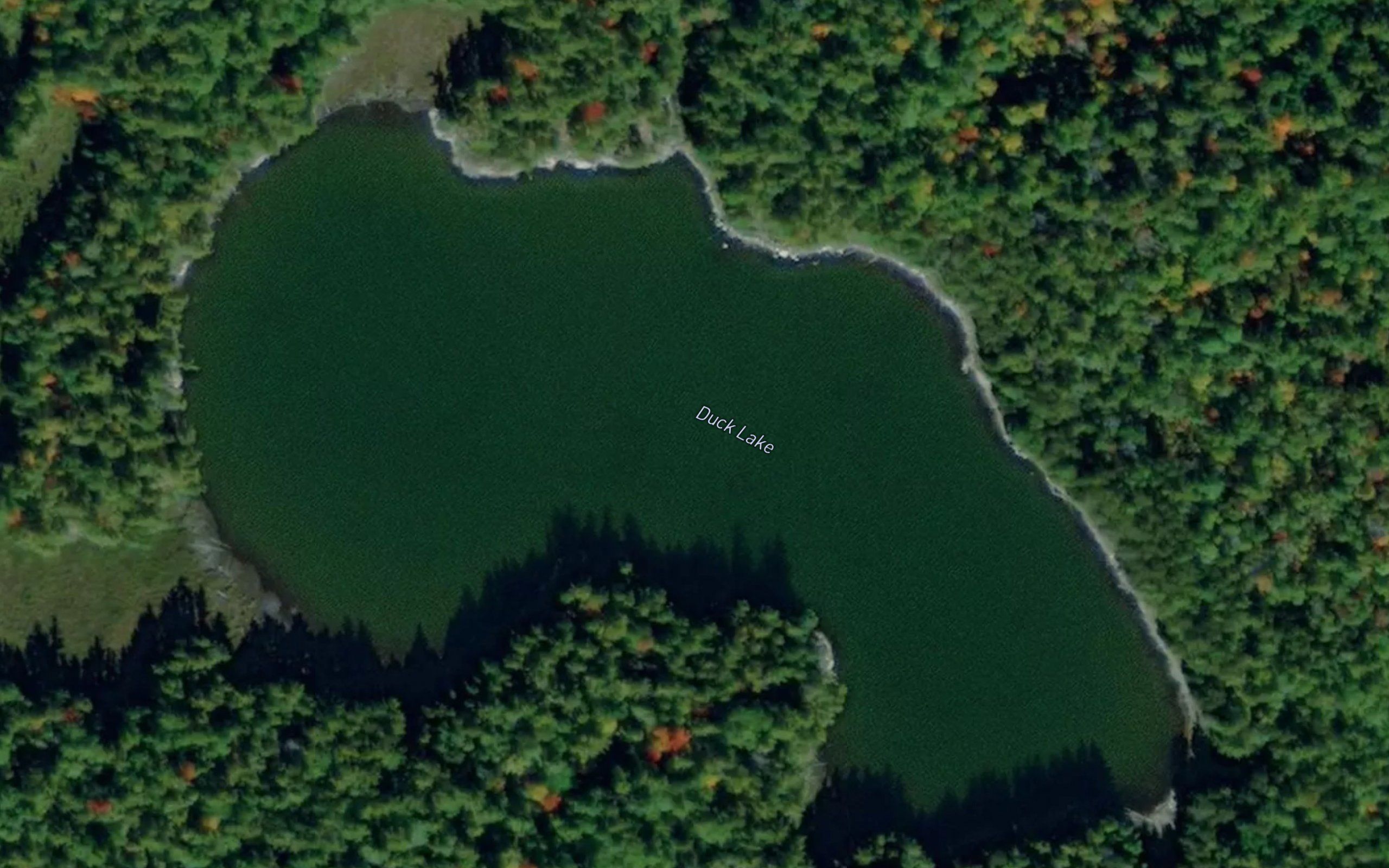 Duck Lake