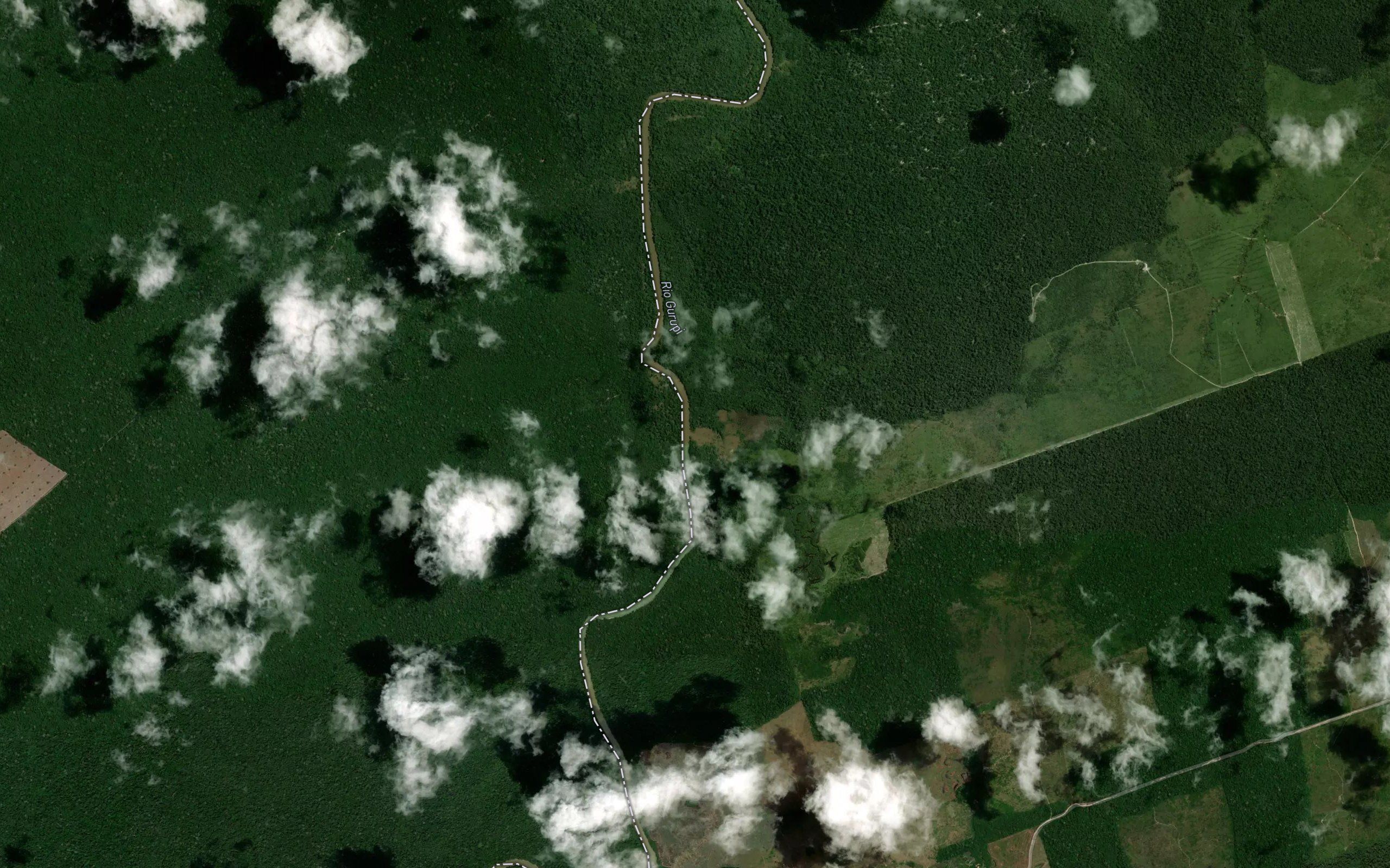 Igarape Guariba