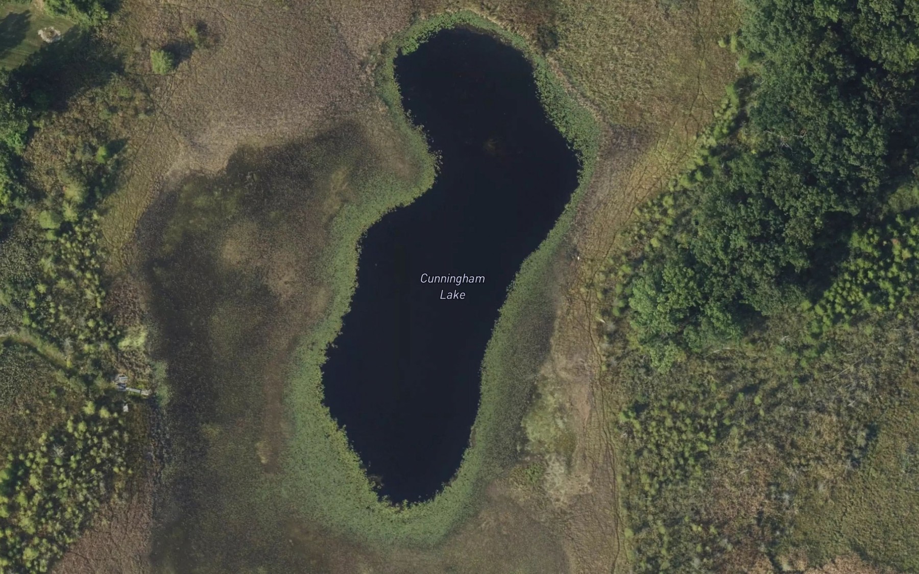 Satellite map of the Cunningham Lake
