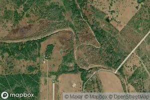 Alligator Creek