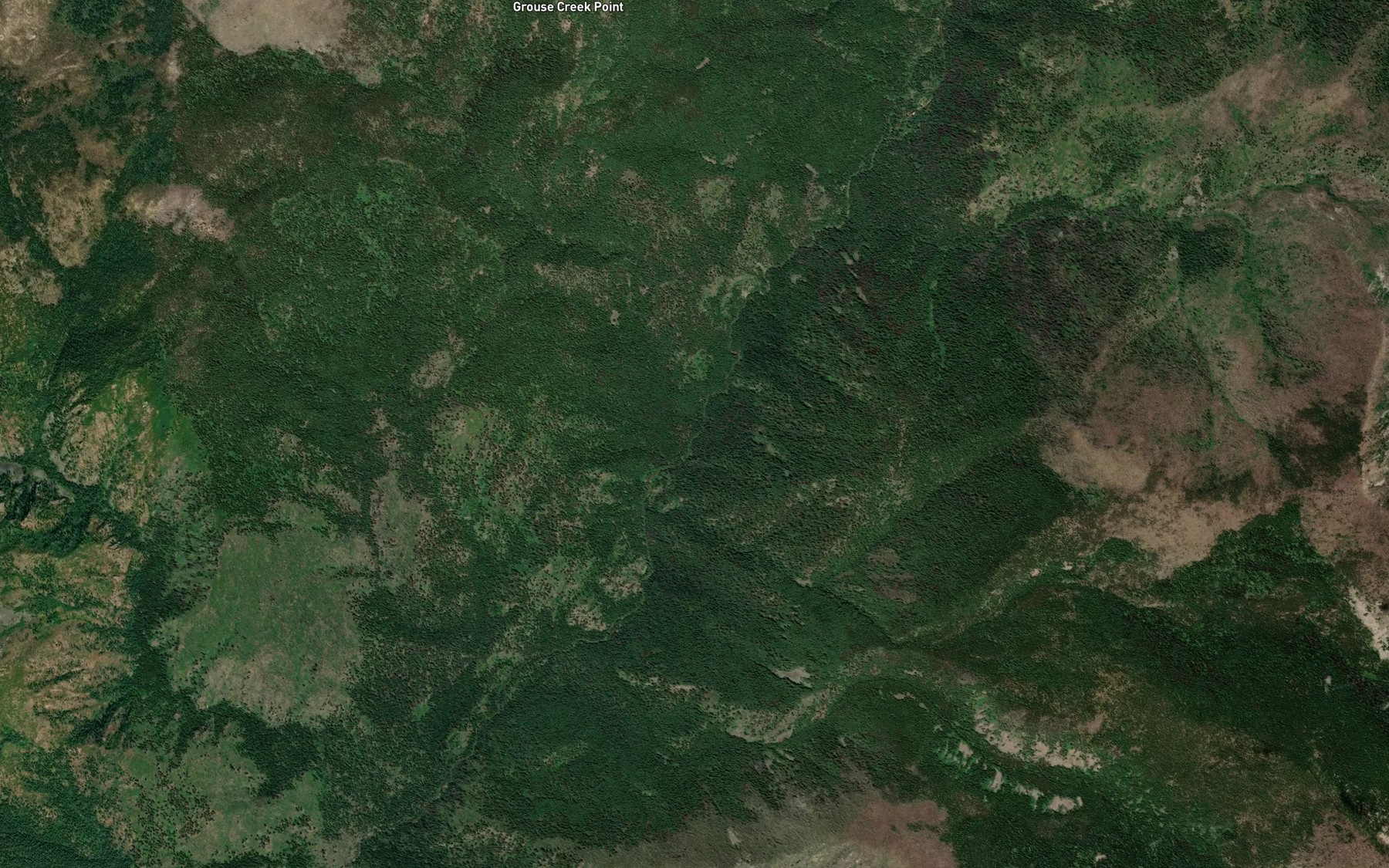 Satellite map of the Prospector Creek