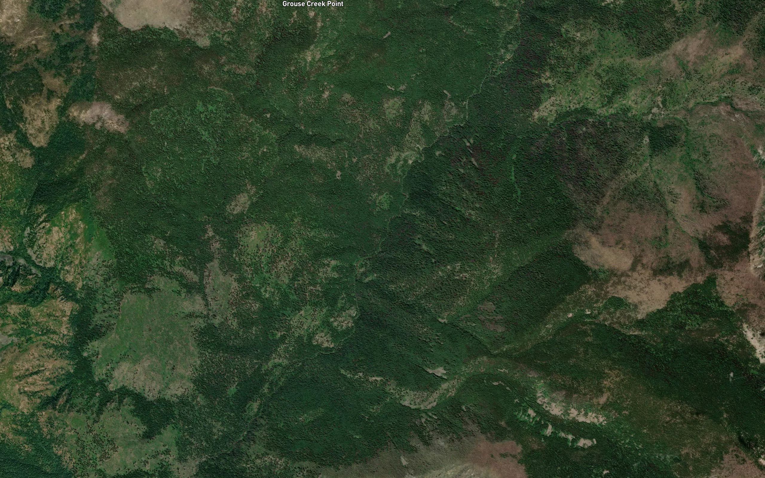 Prospector Creek