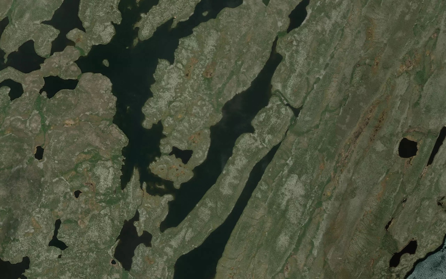 Satellite map of the Williamson Bay