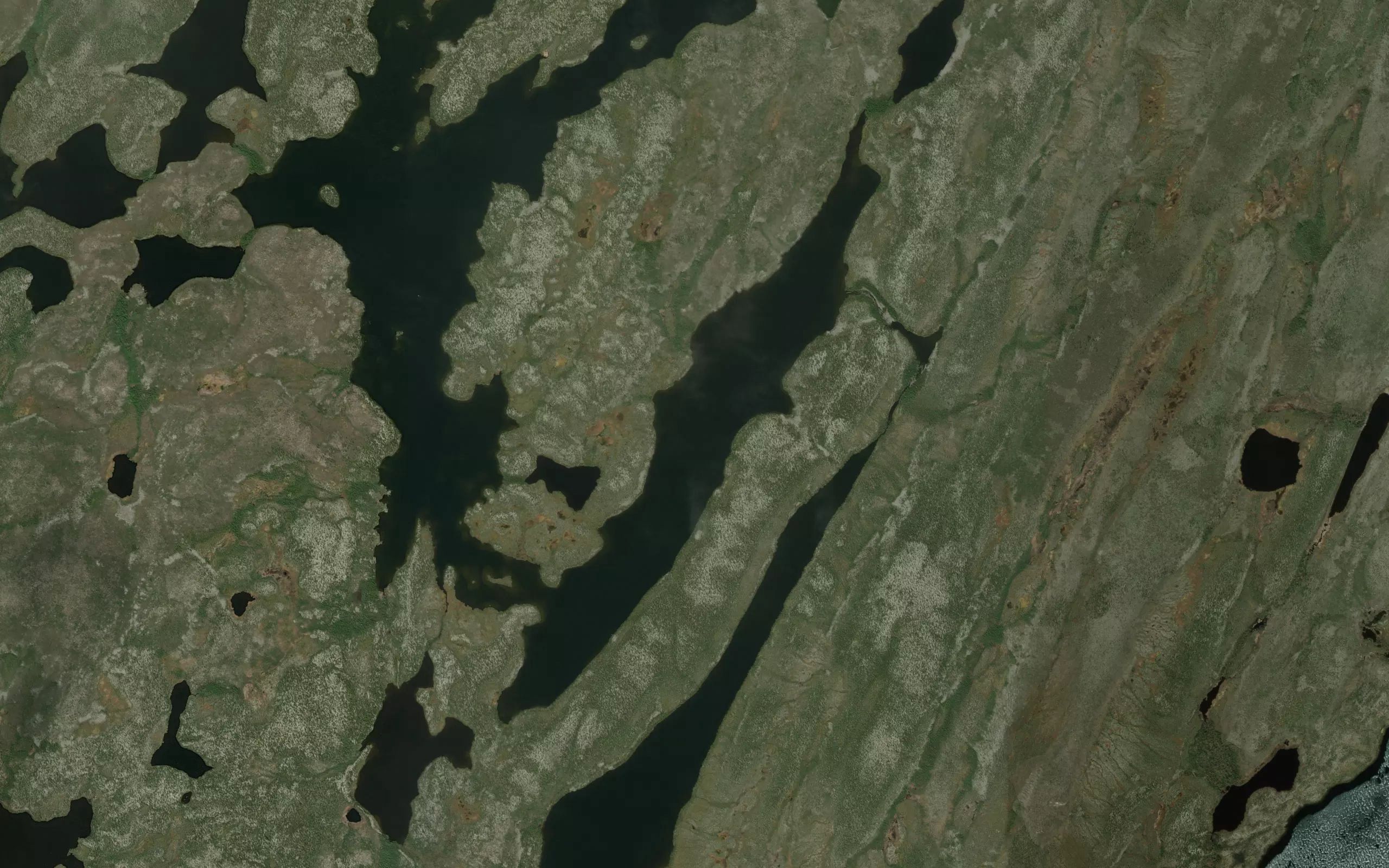 Williamson Bay
