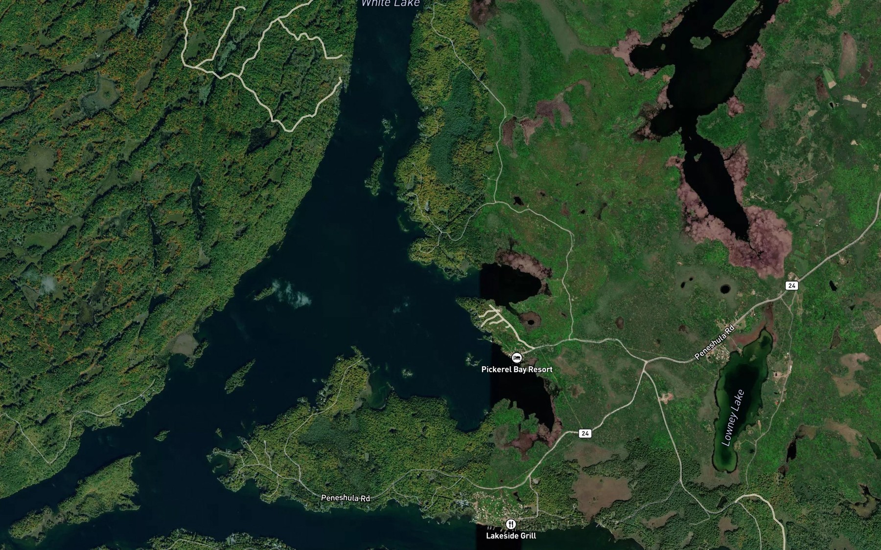 Satellite map of the Eggshape Bay