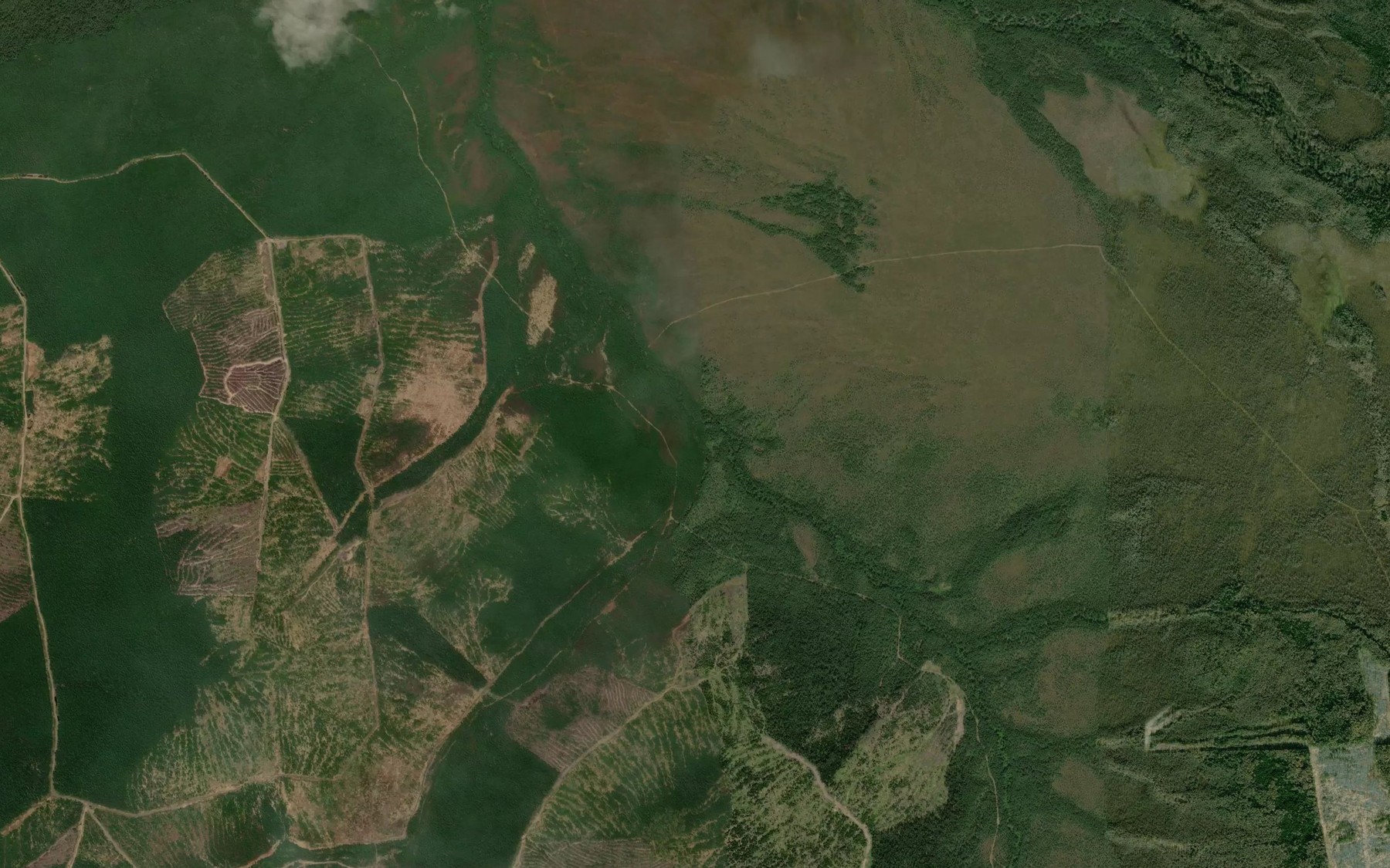 Satellite map of the Vetvistyy