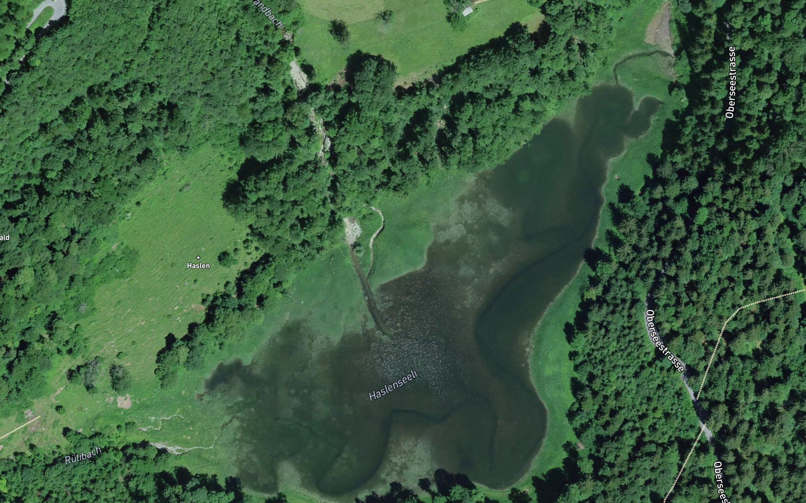 Haslensee