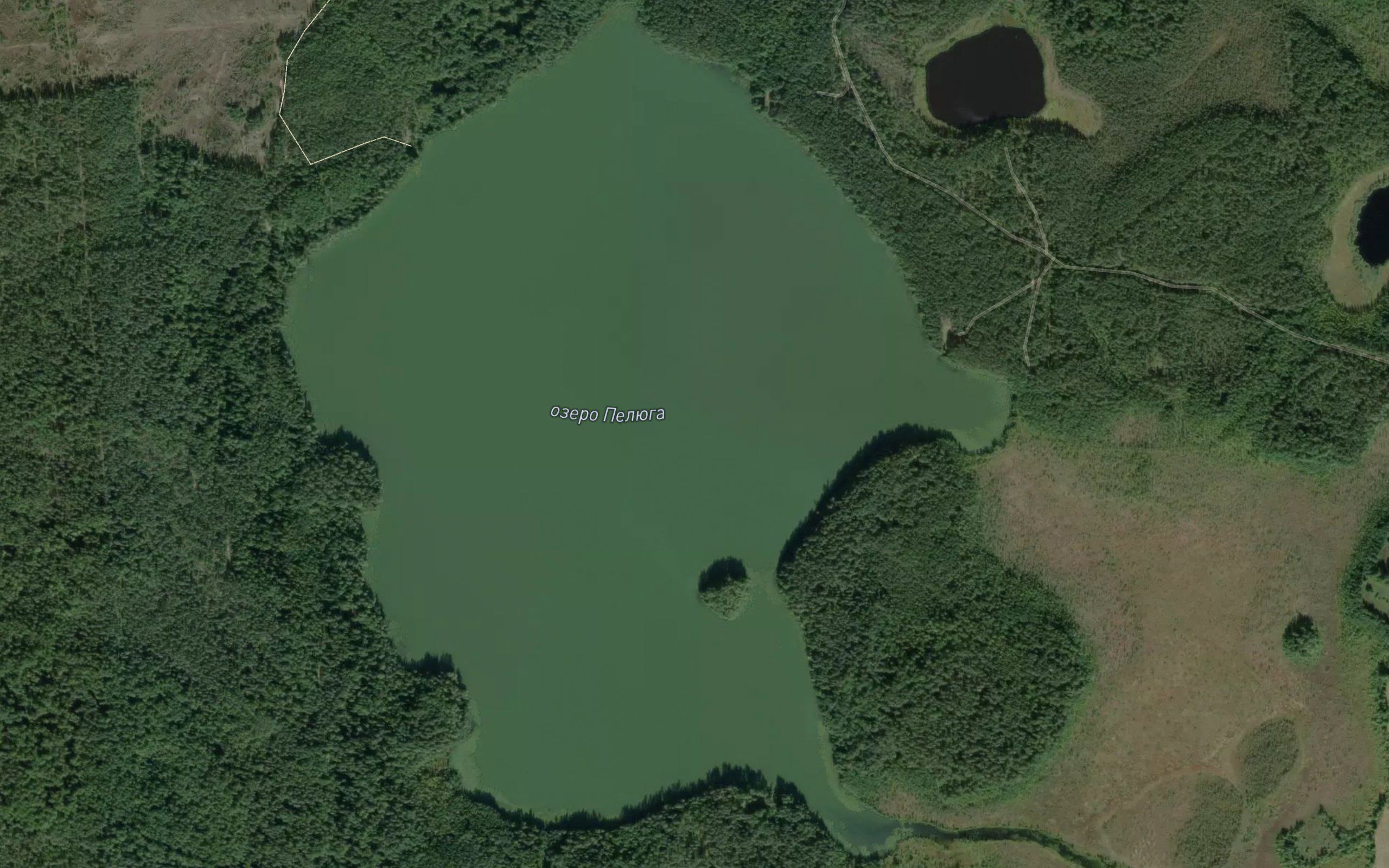 Ozero Pelyuga