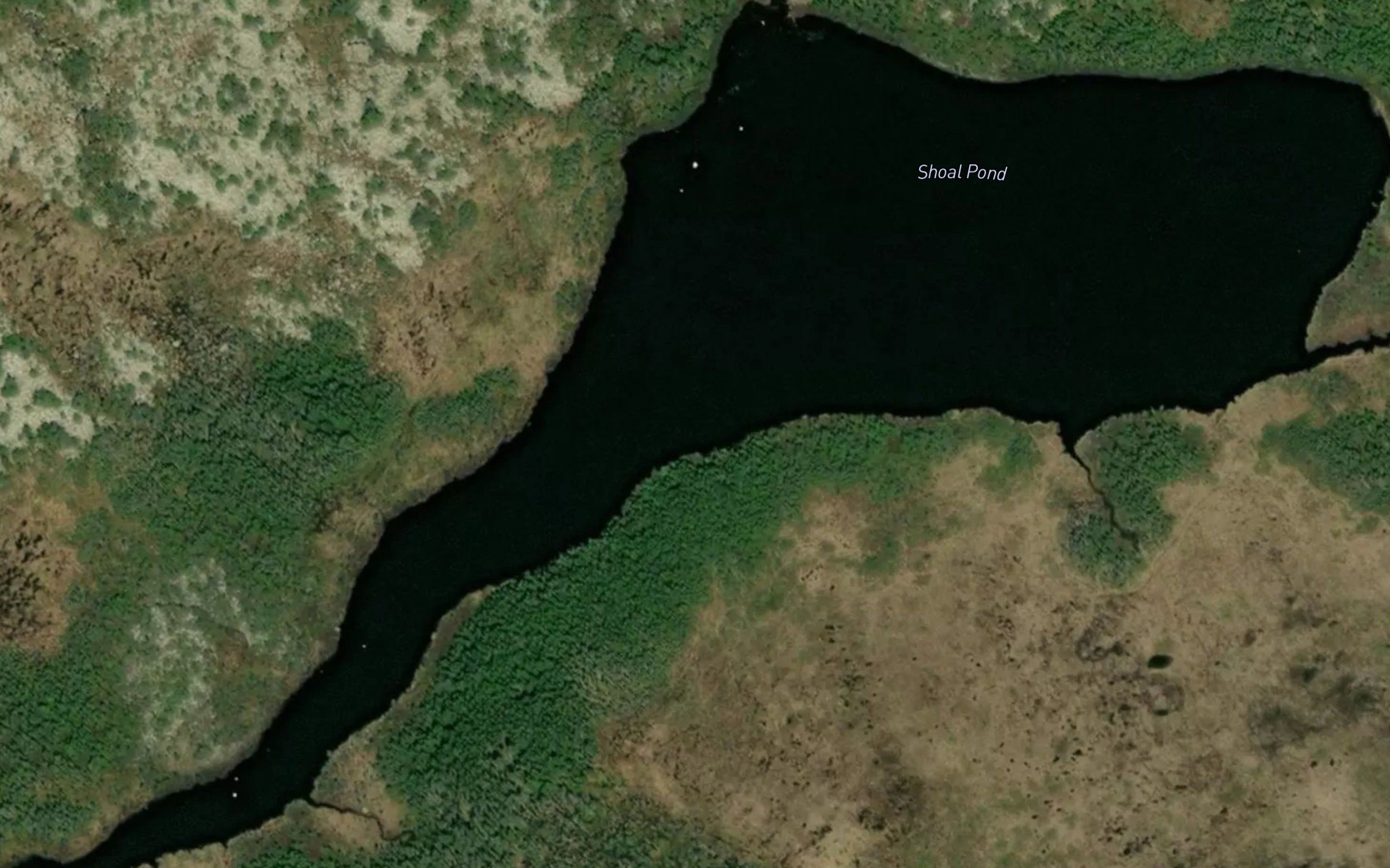 Shoal Pond