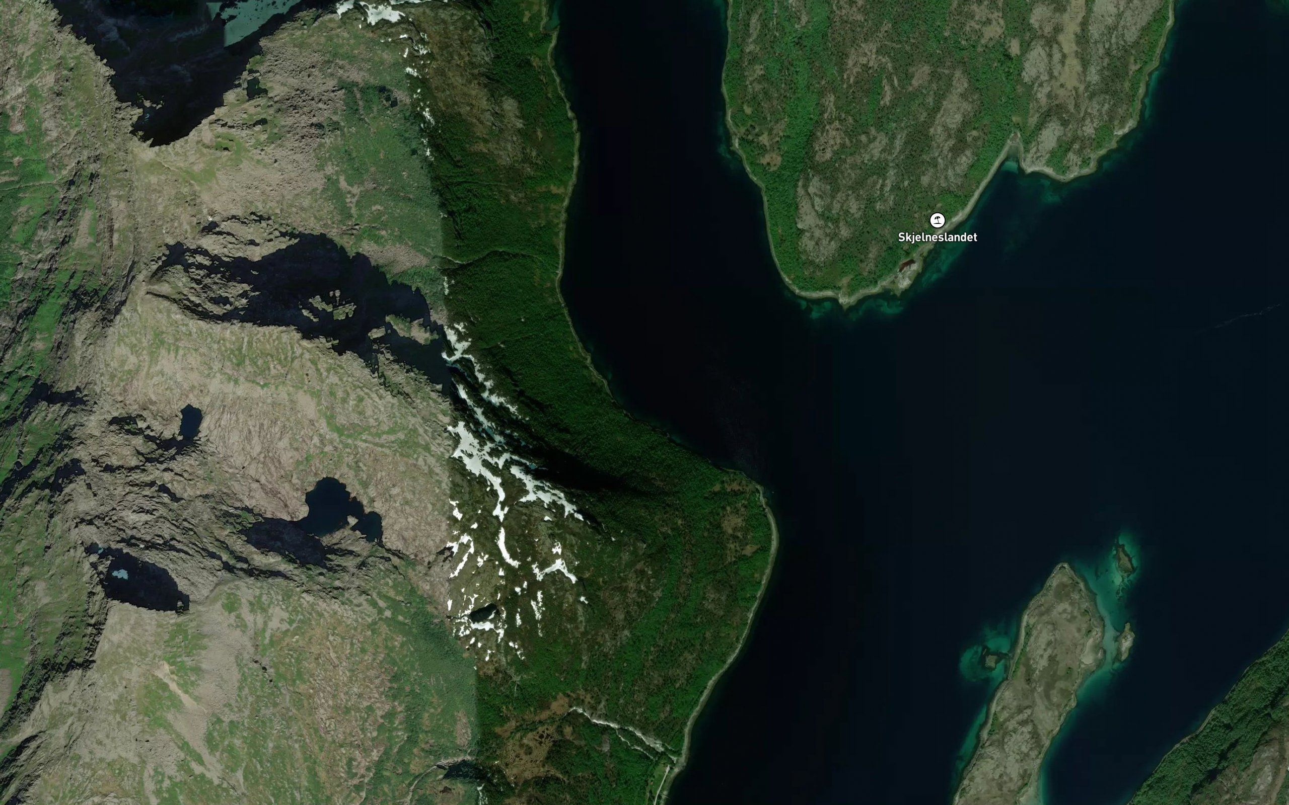 Kavika