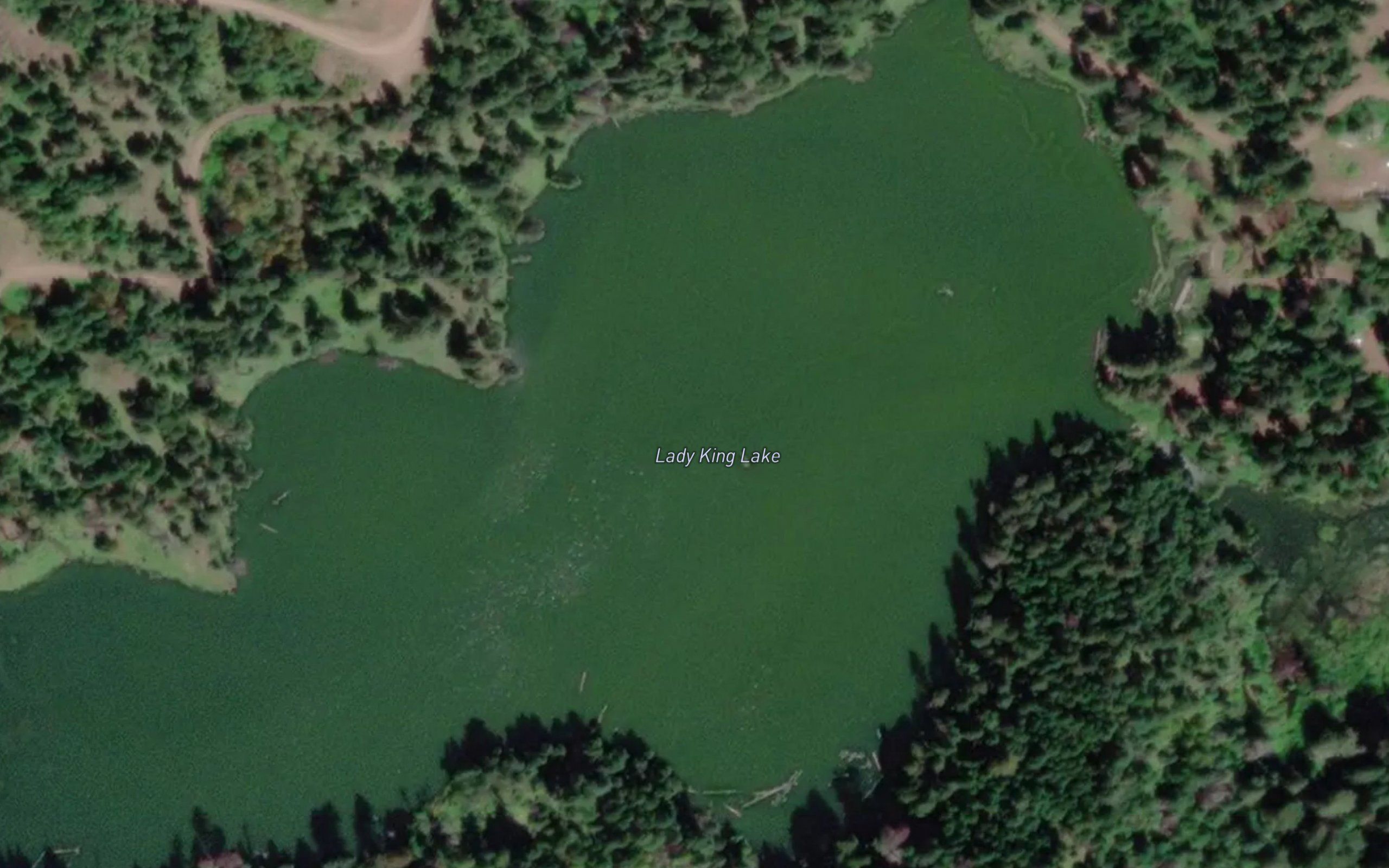 Lady King Lake