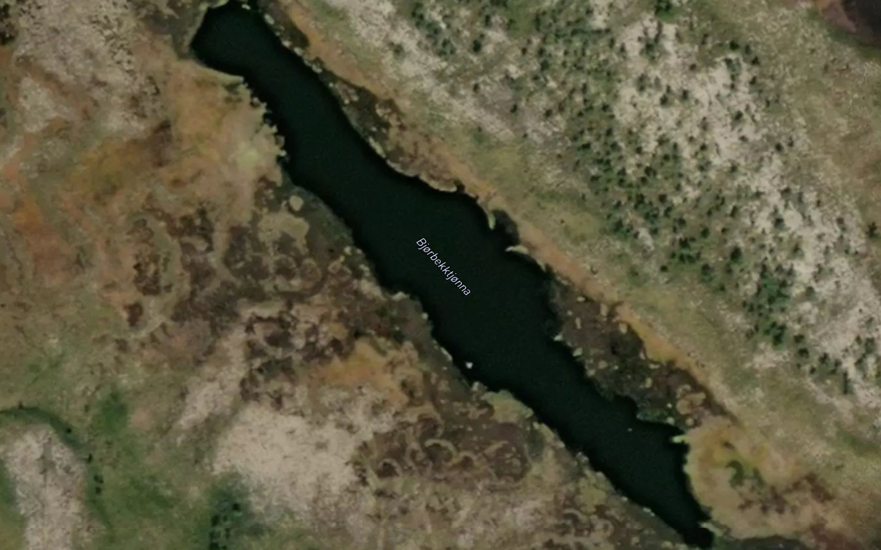 Satellite map of the Bjorbekktjorna