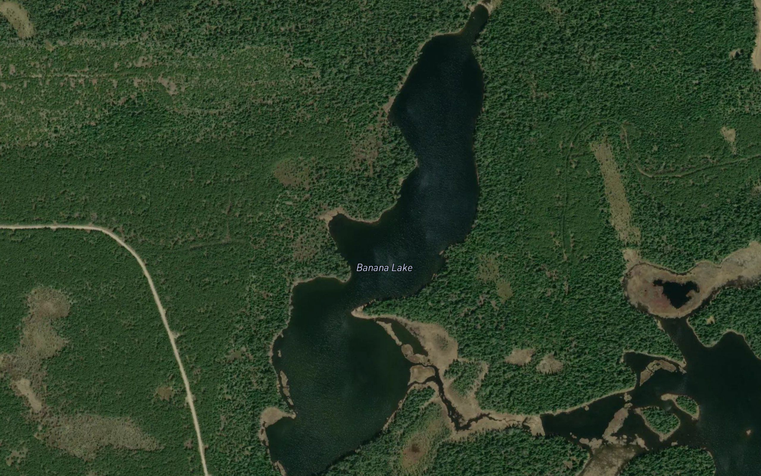 Banana Lake