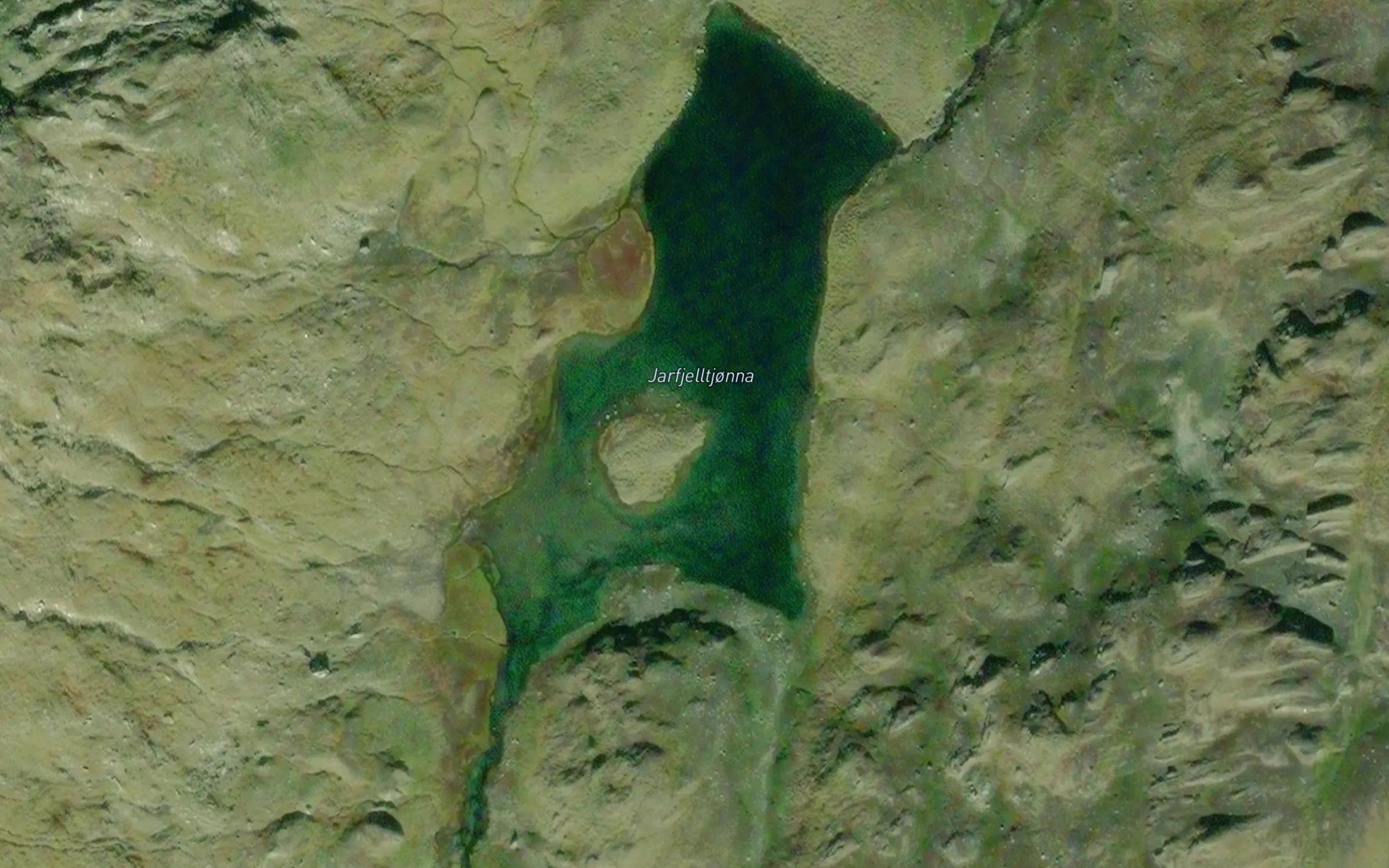 Jarfjelltjorna