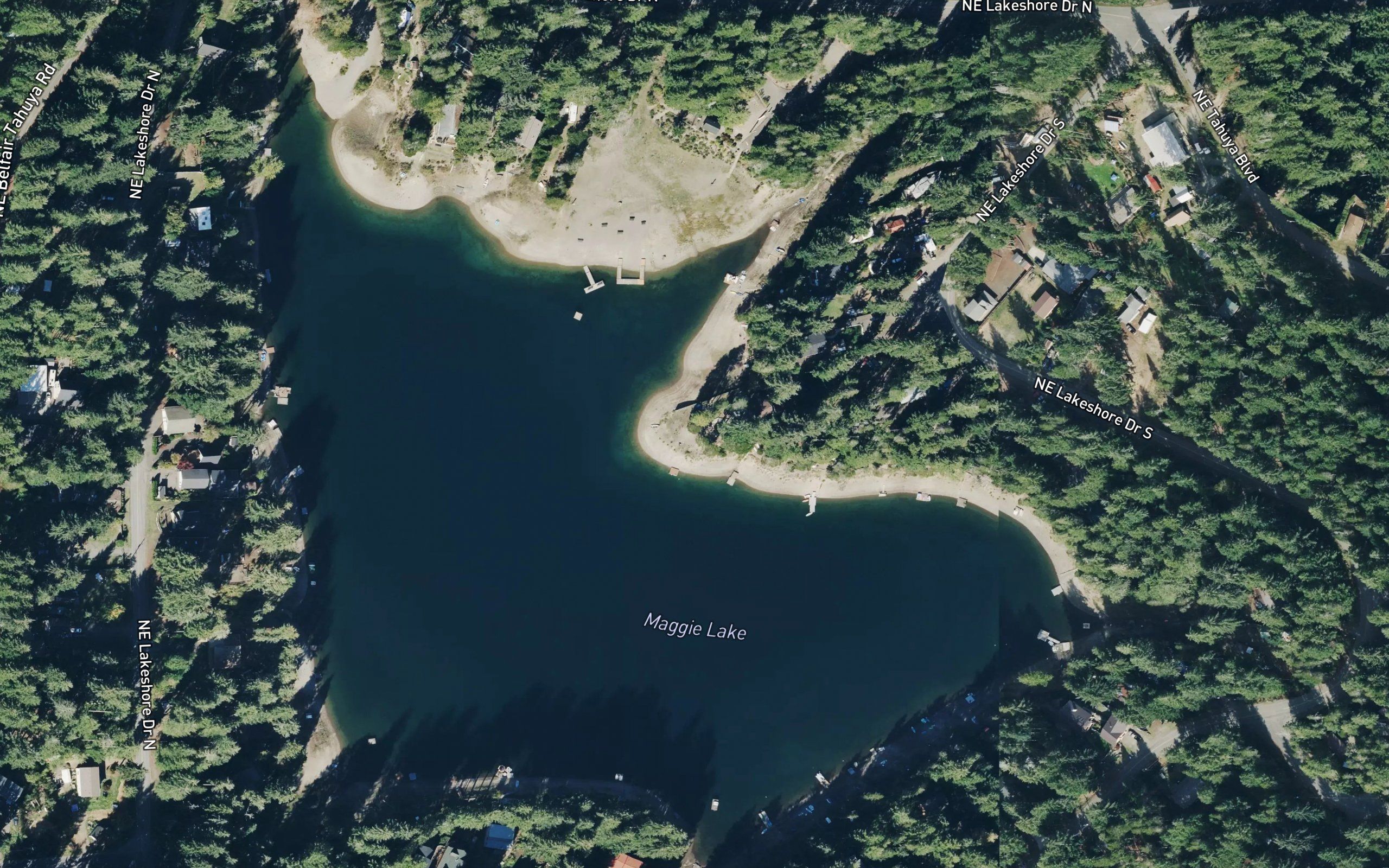 Maggie Lake