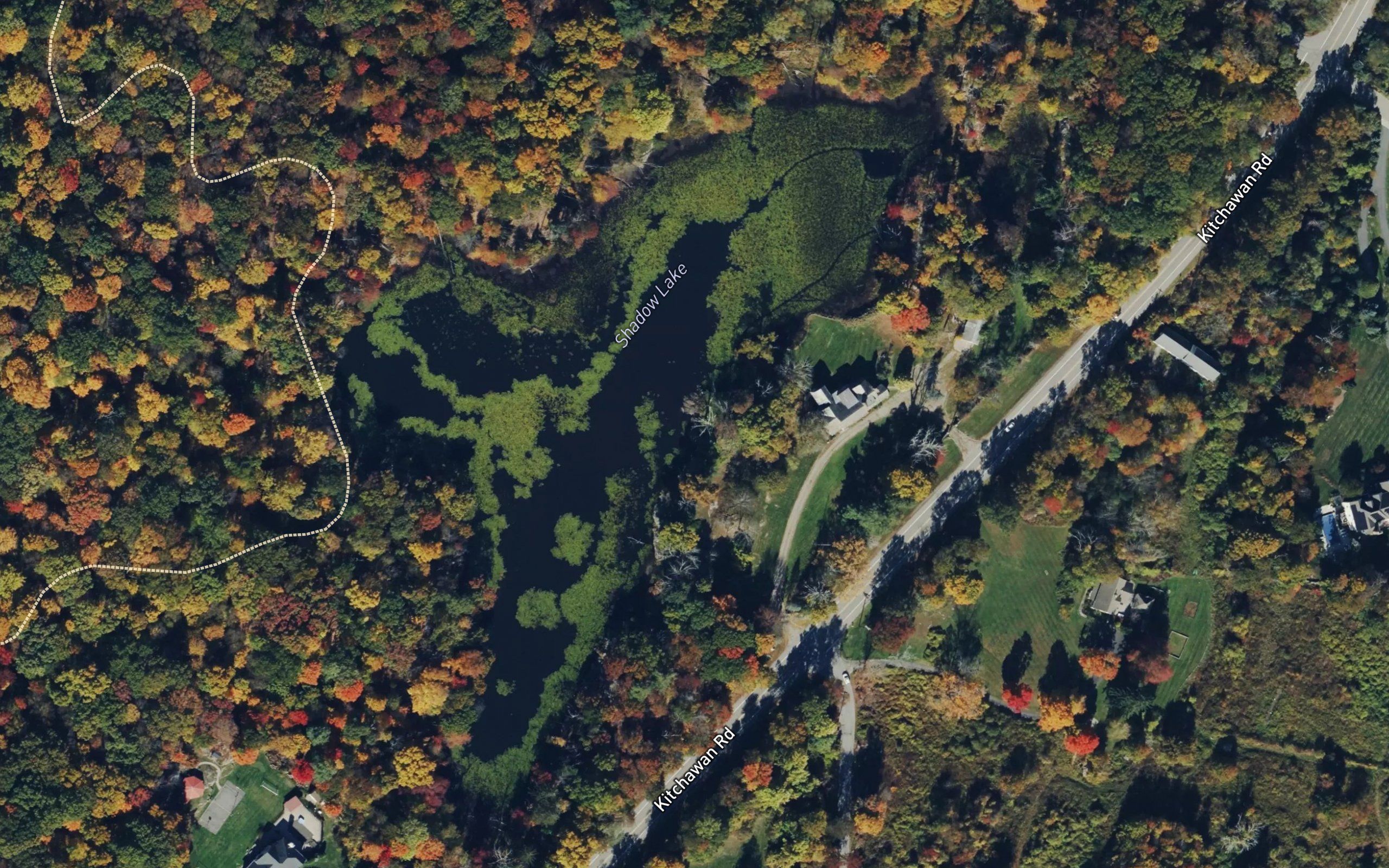 Shadow Lake