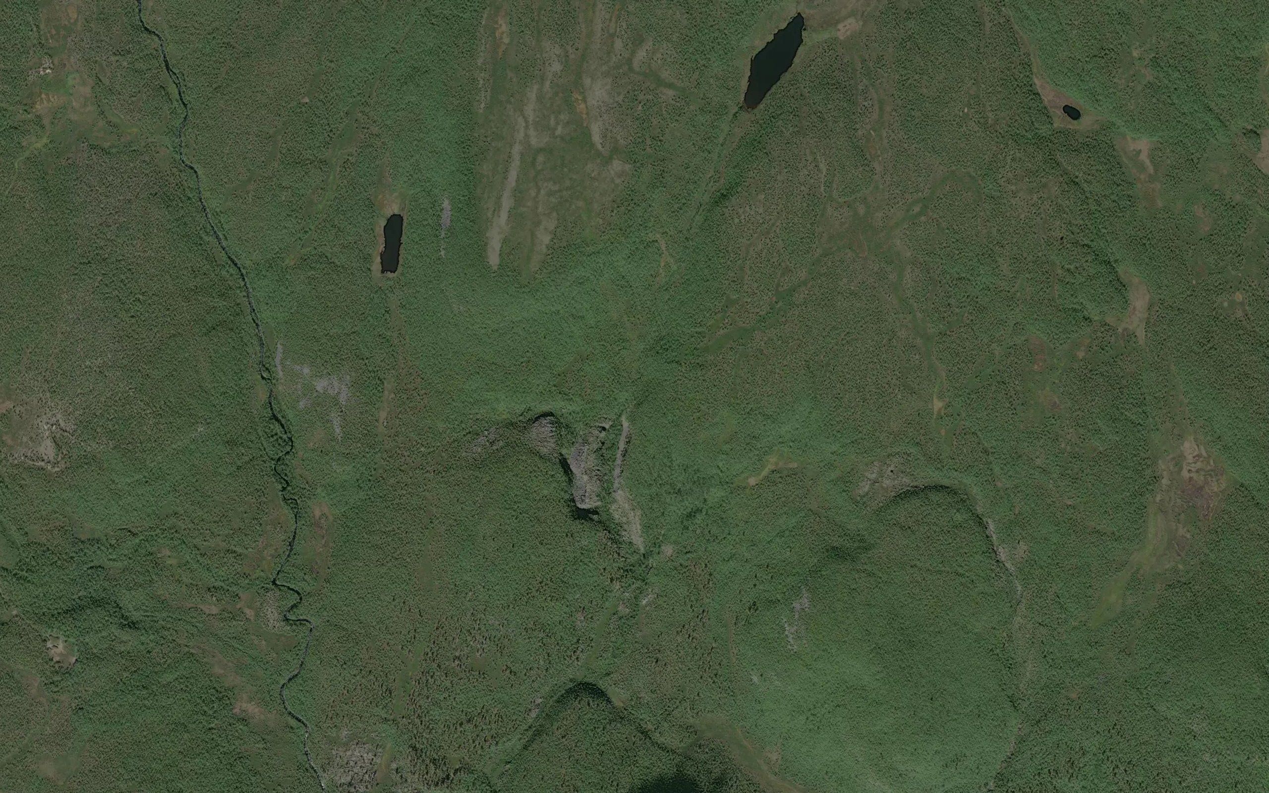 Njallavarjakka