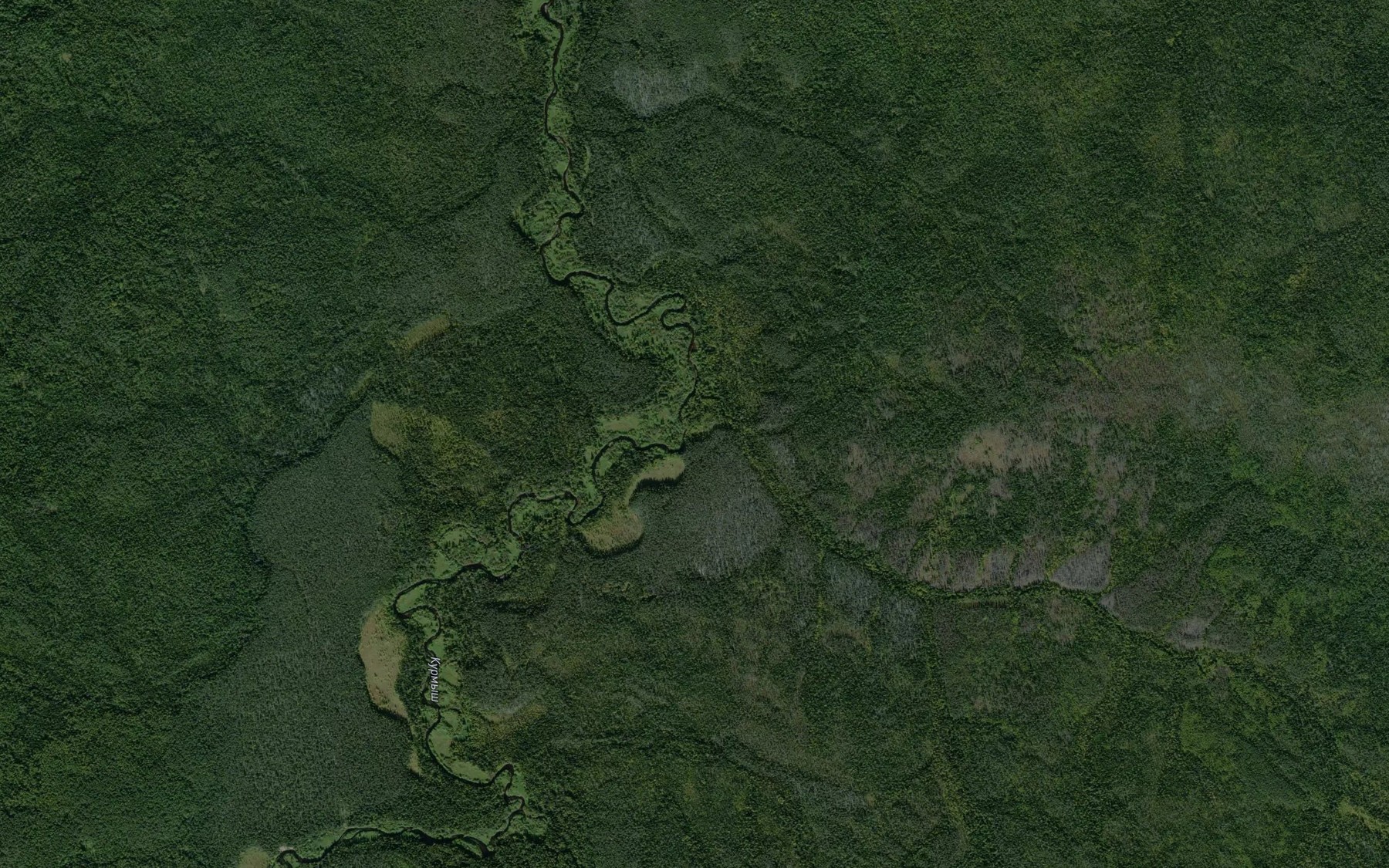 Satellite map of the Perym-Vozh