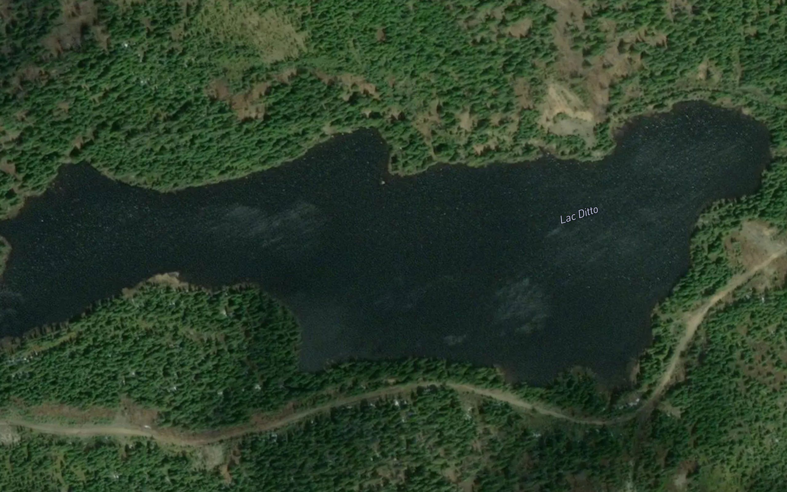 Lac Ditto