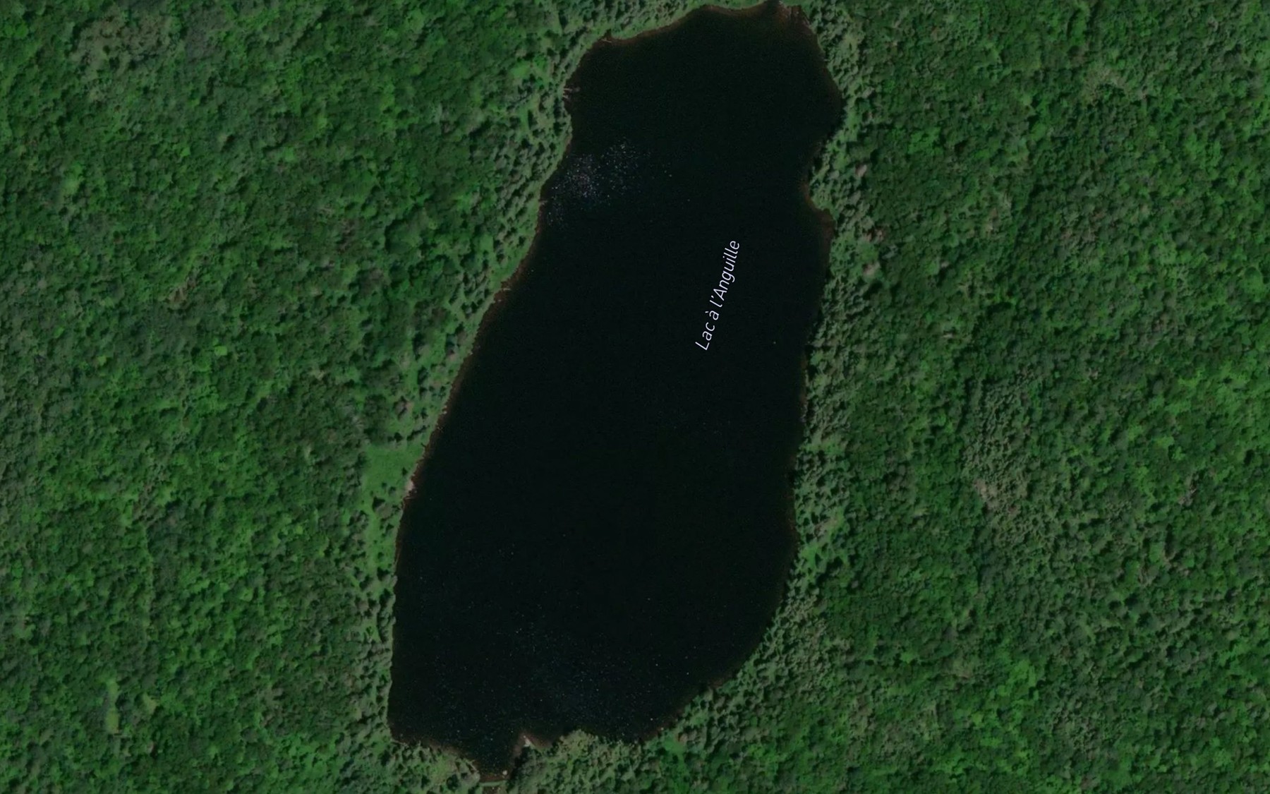 Satellite map of the Lac a l'Anguille