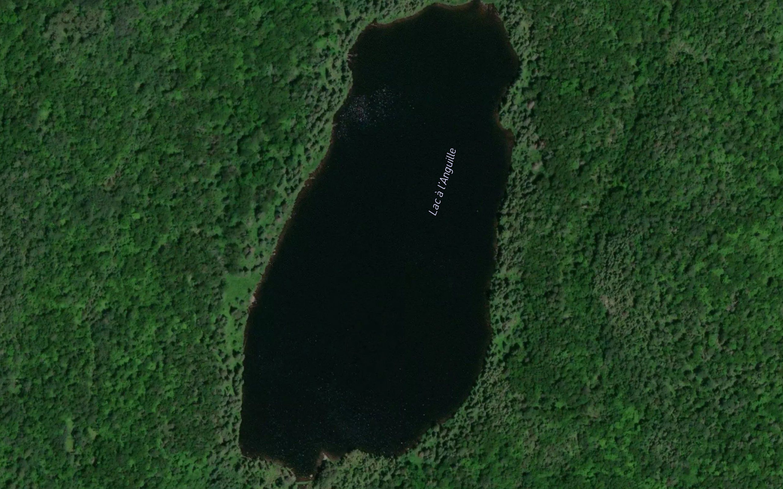 Lac a l'Anguille