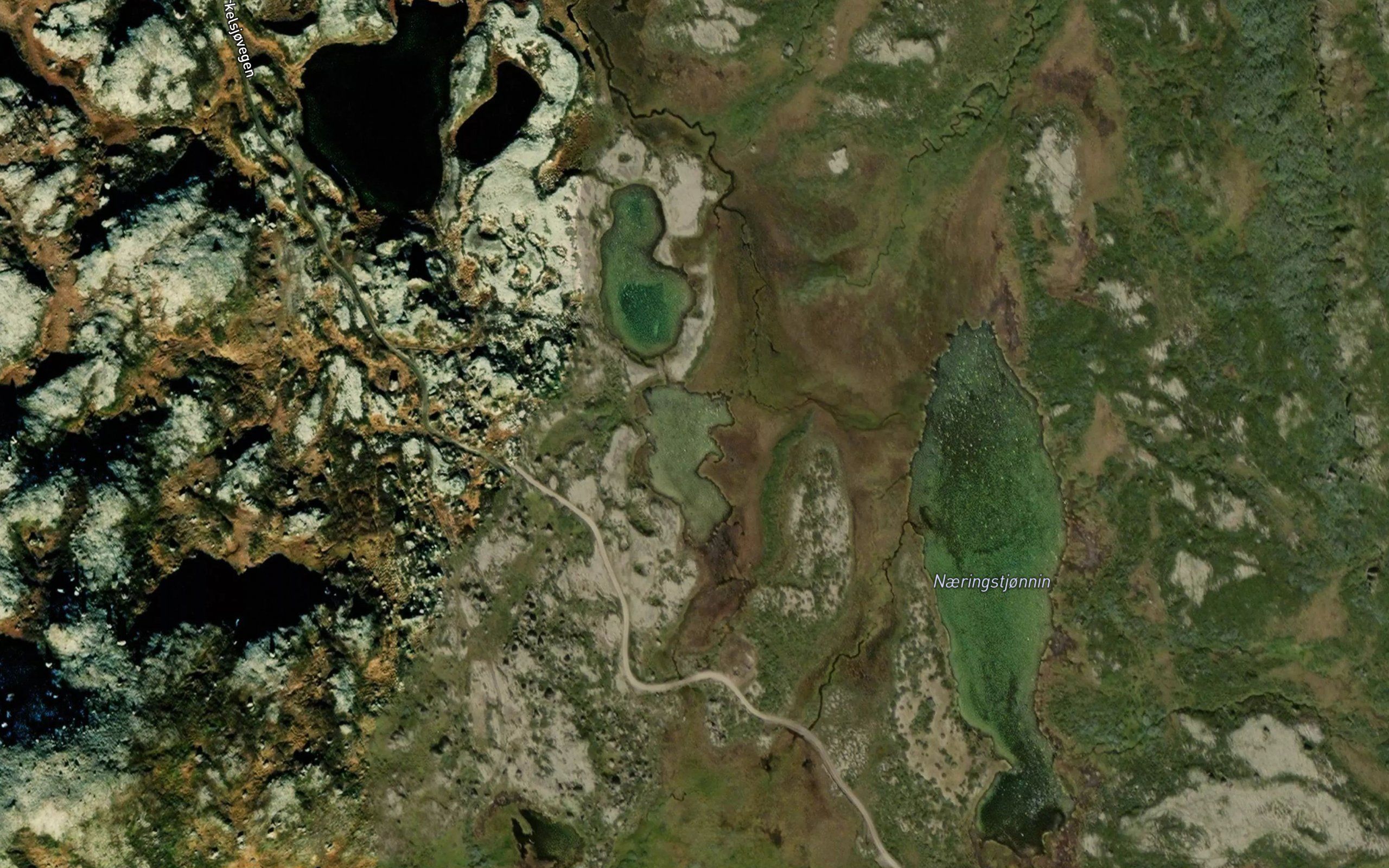 Naeringtjornan