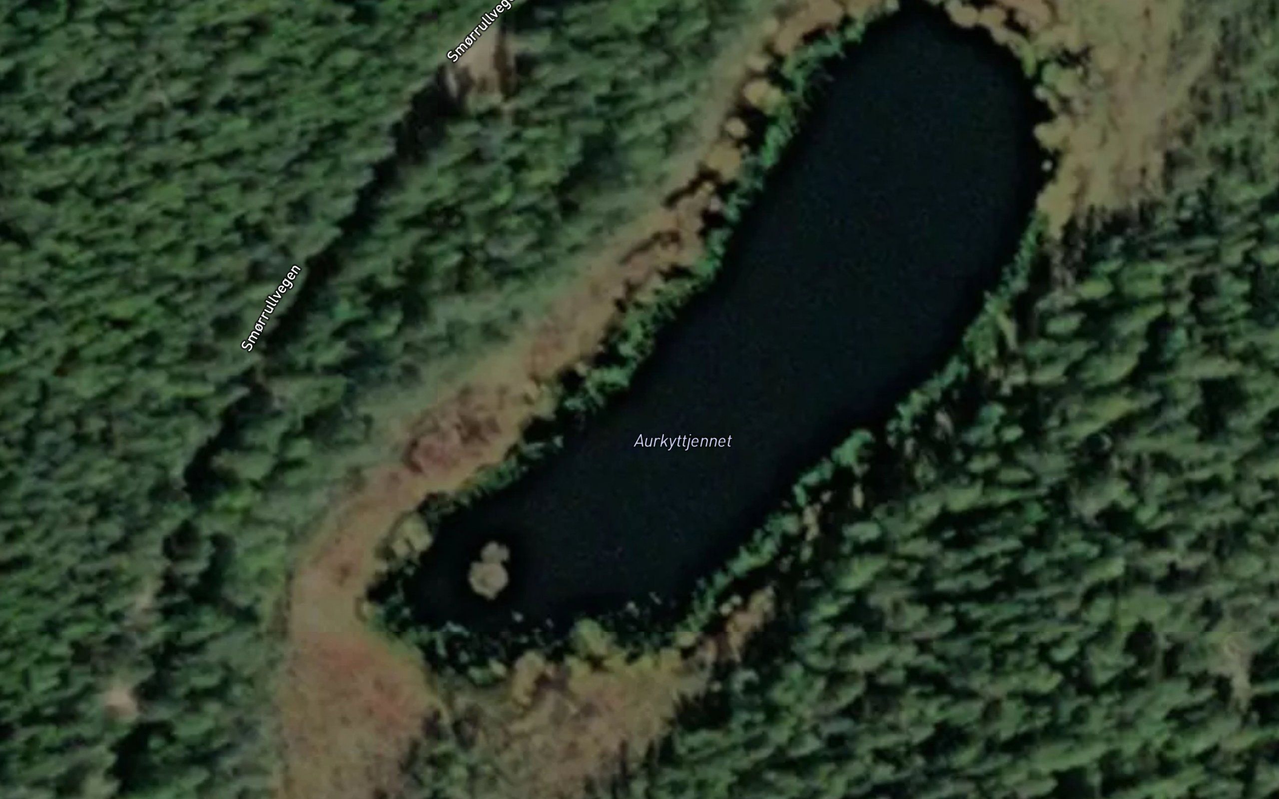 Aurkyttjennet
