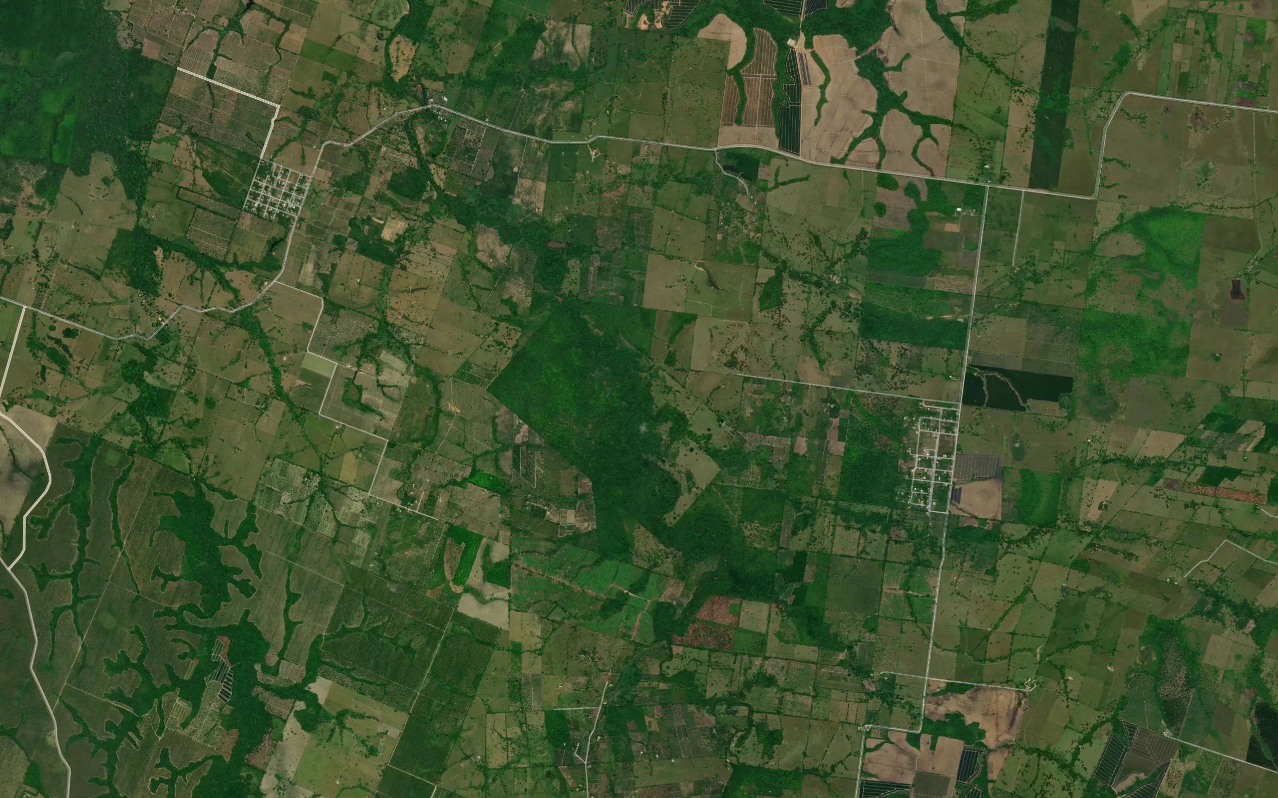 Arroyo Negro