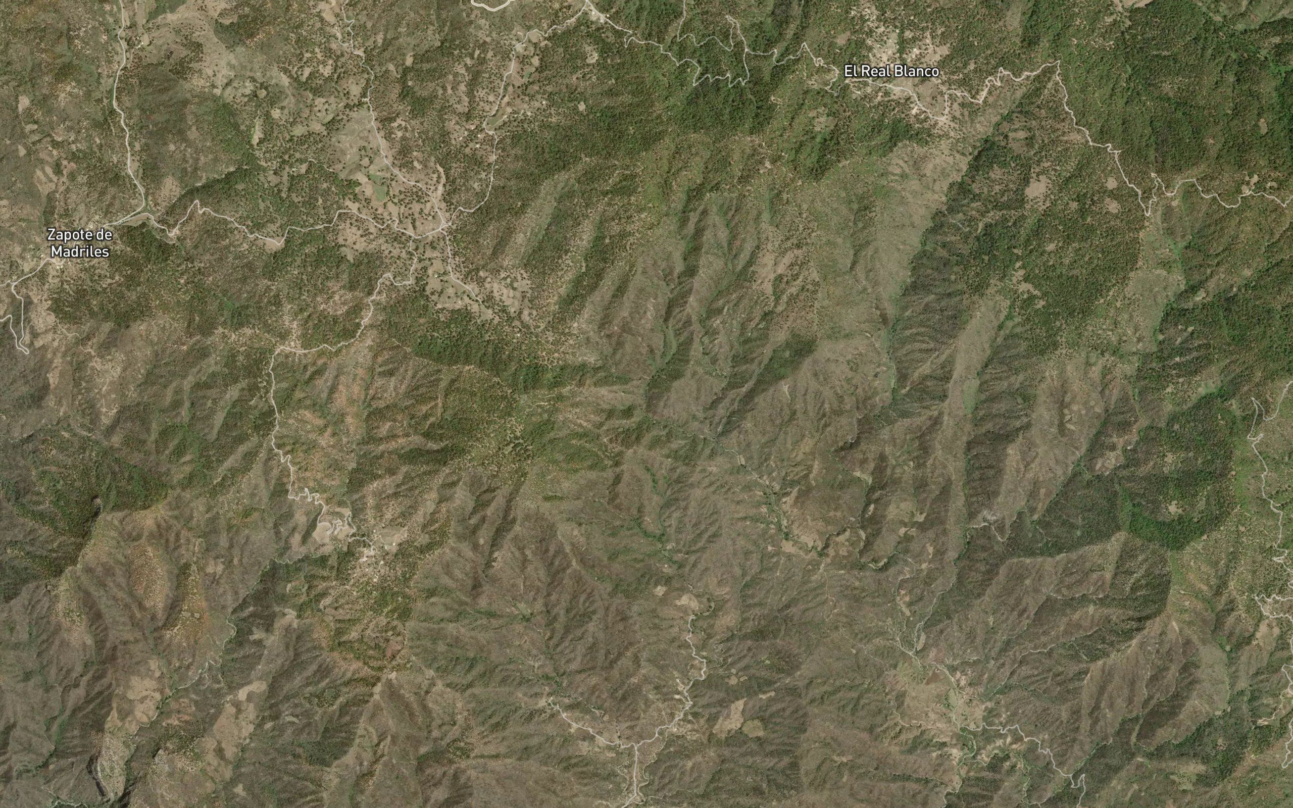 Barranca El Tacuachi