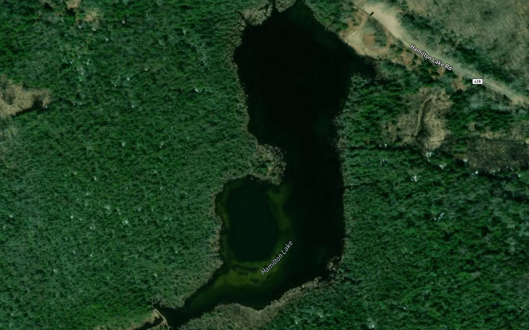 Satellite map of the Hamilton Lake