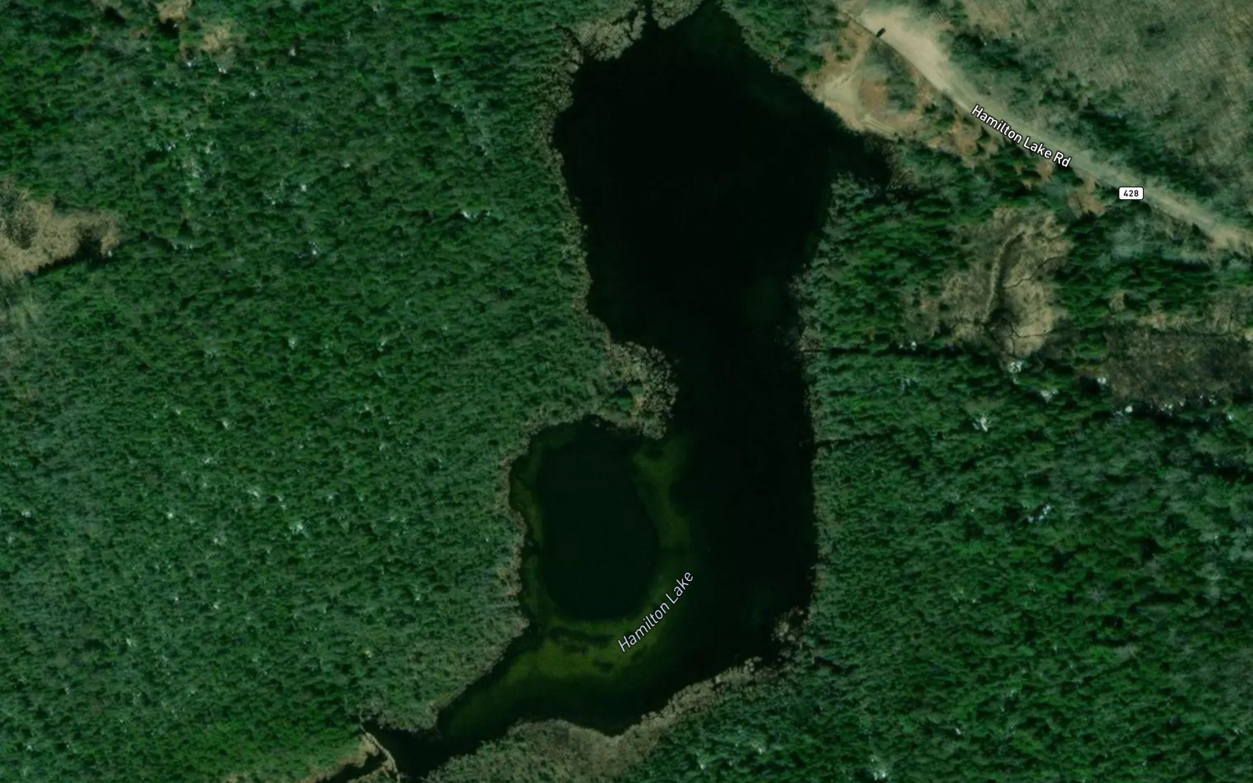 Hamilton Lake