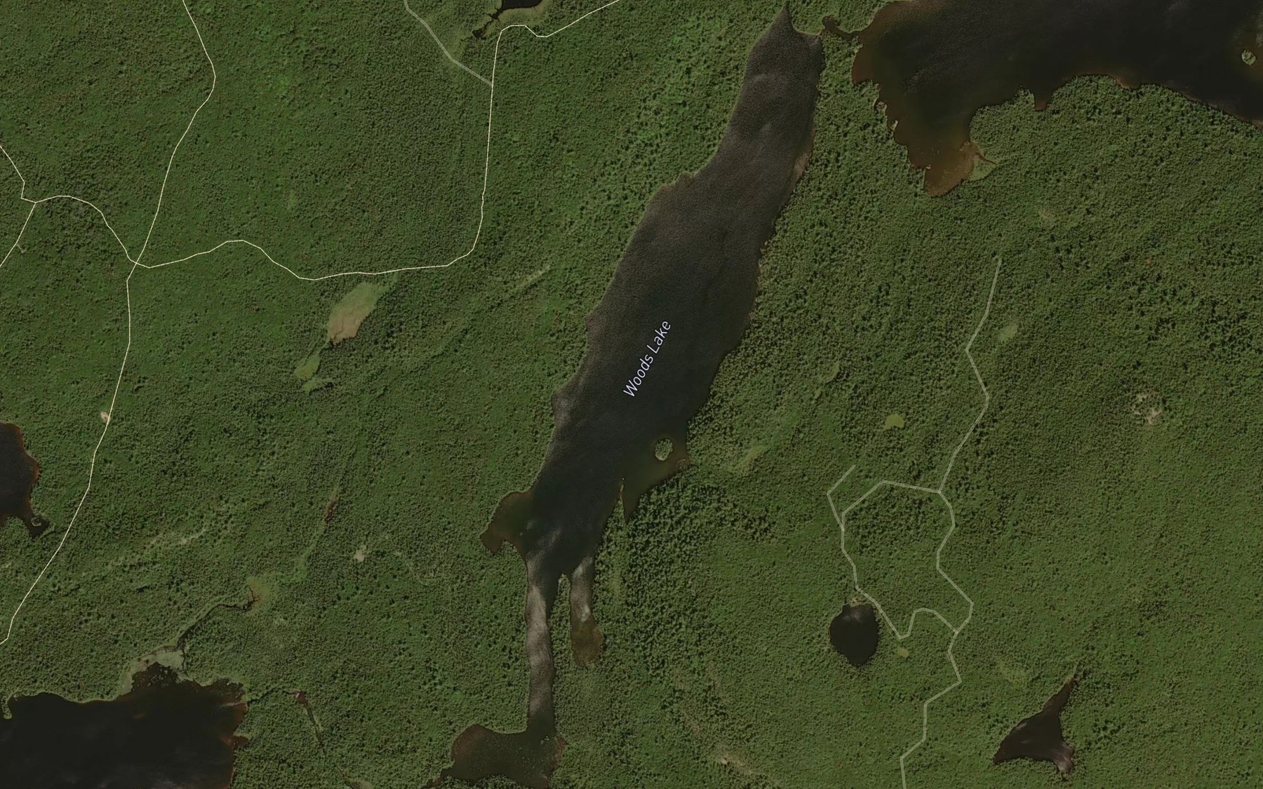 Satellite map of the Woods Lake